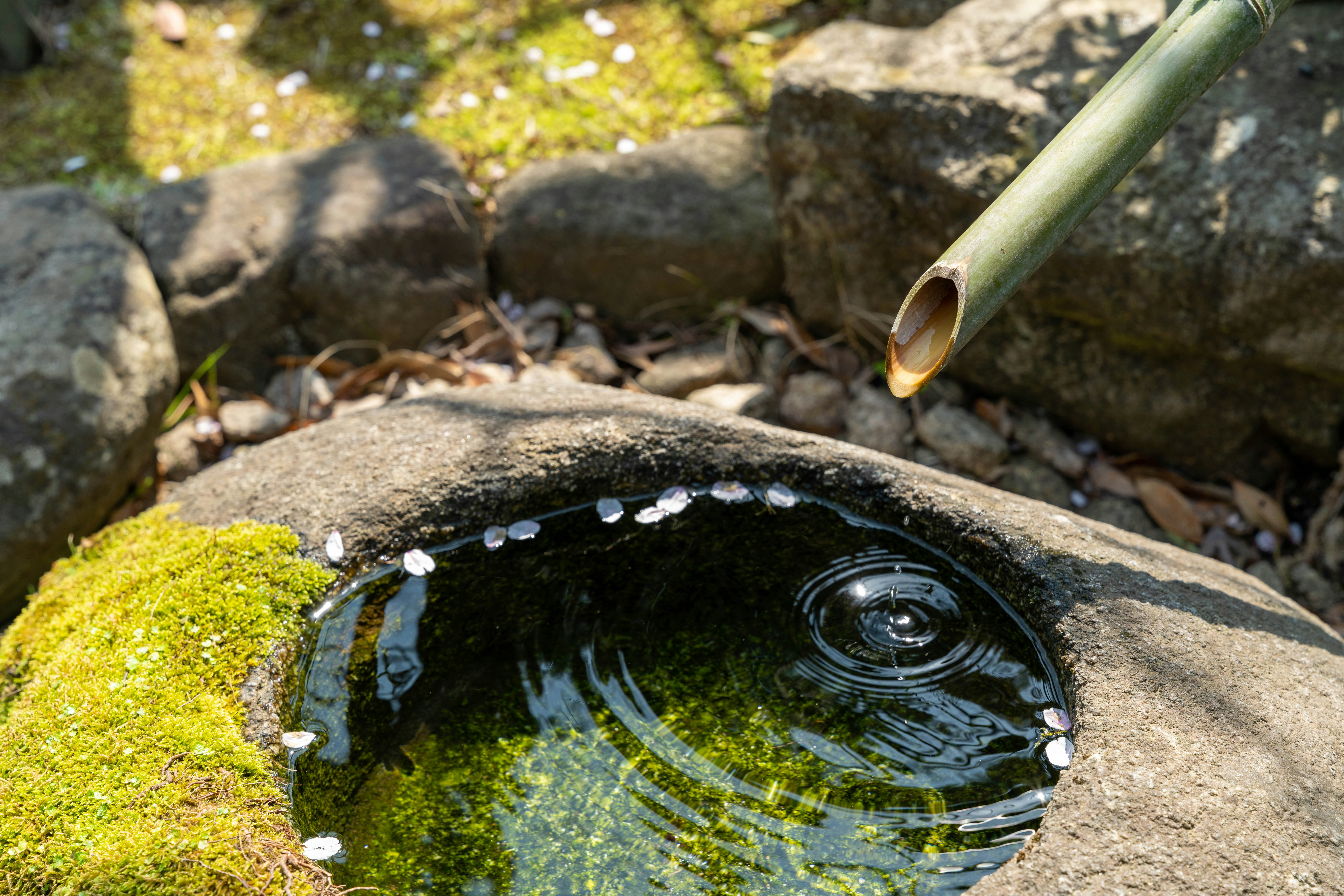 mossy stone water basin with a bamboo ladle