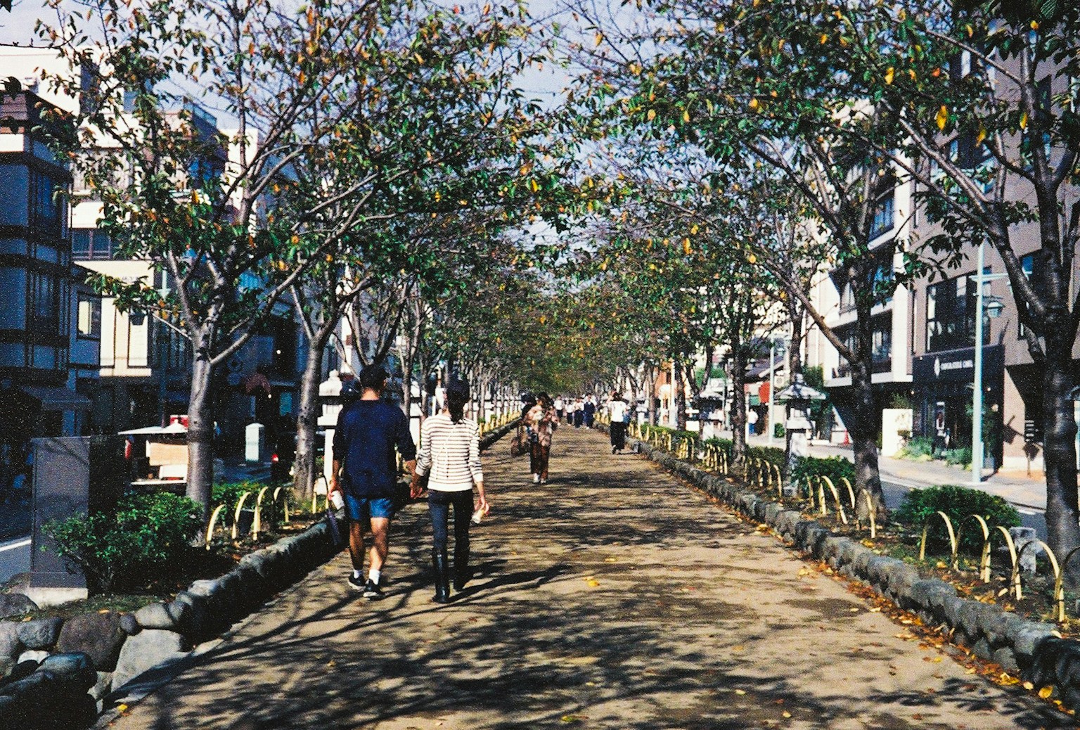 Orang-orang berjalan di jalur yang dipenuhi pohon dengan jalan-jalan yang tenang