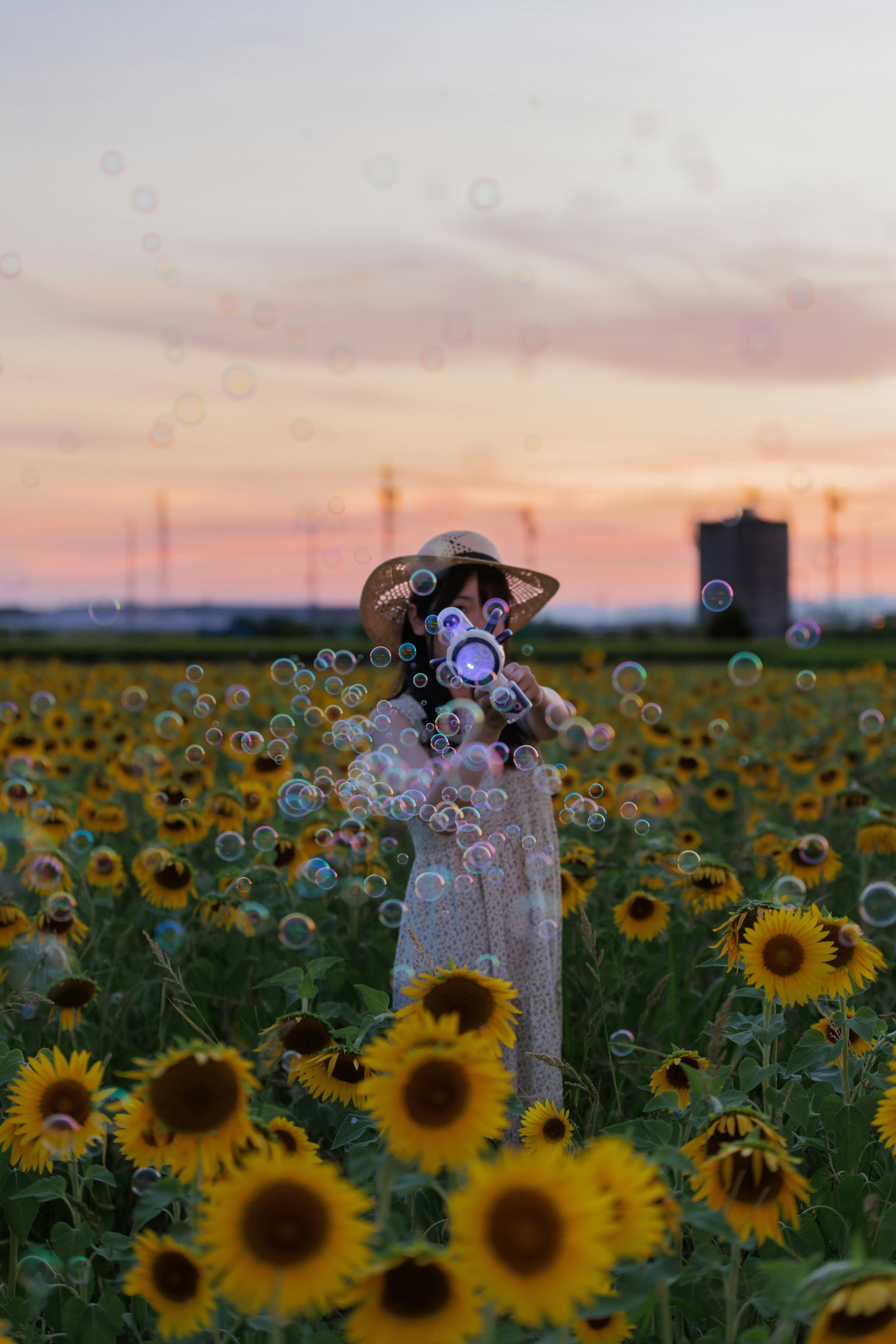 ひまわり畑で帽子をかぶった人物と夕暮れの空