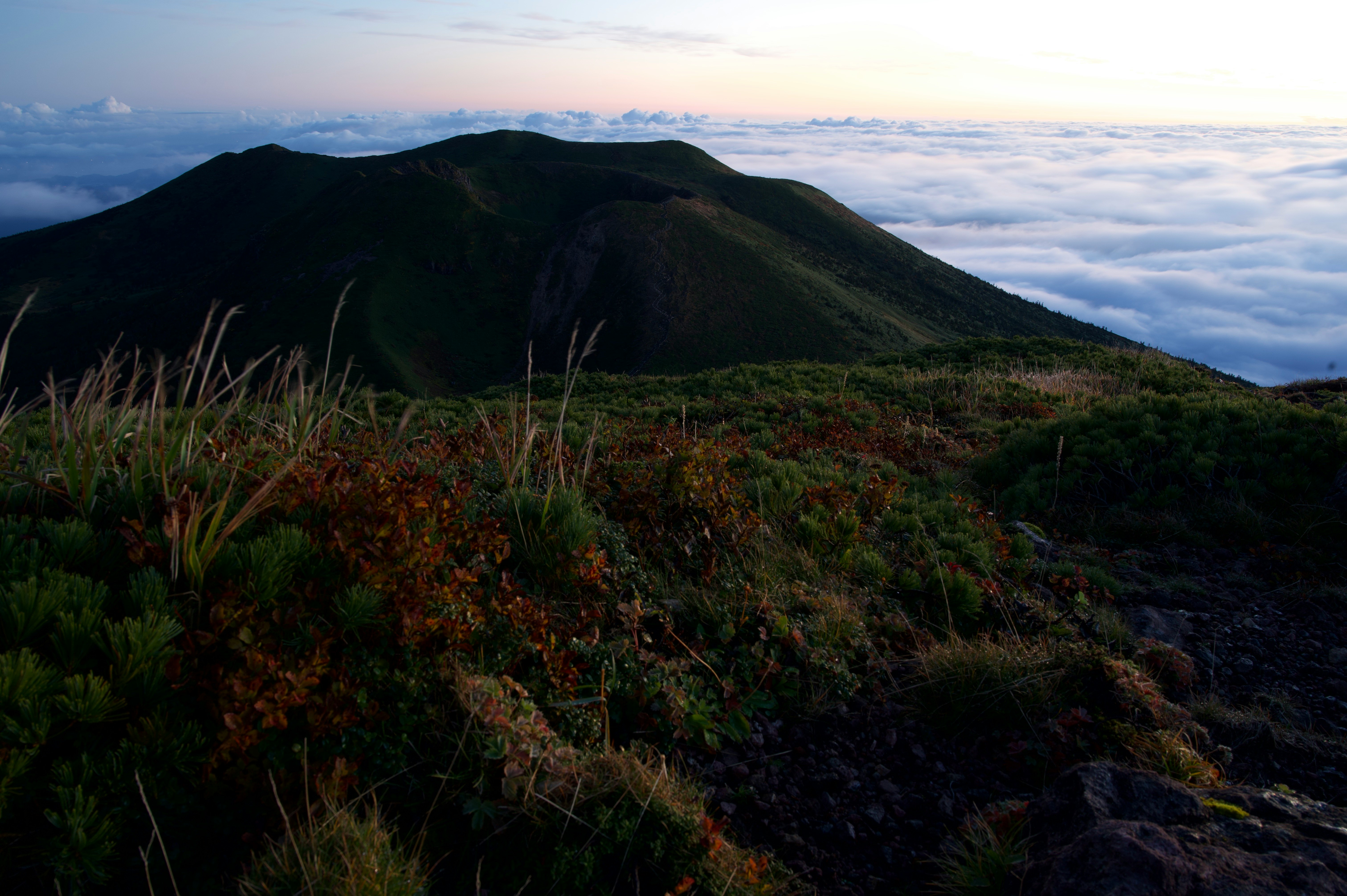 草原と低い山並みが広がる夕暮れの自然風景