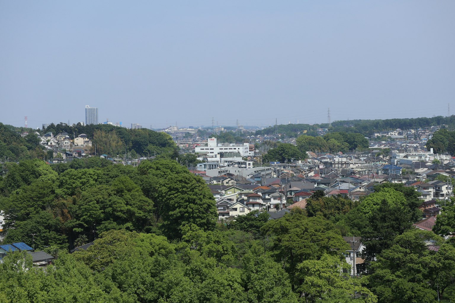 城市景观，绿树成荫，远处建筑在晴朗的蓝天下