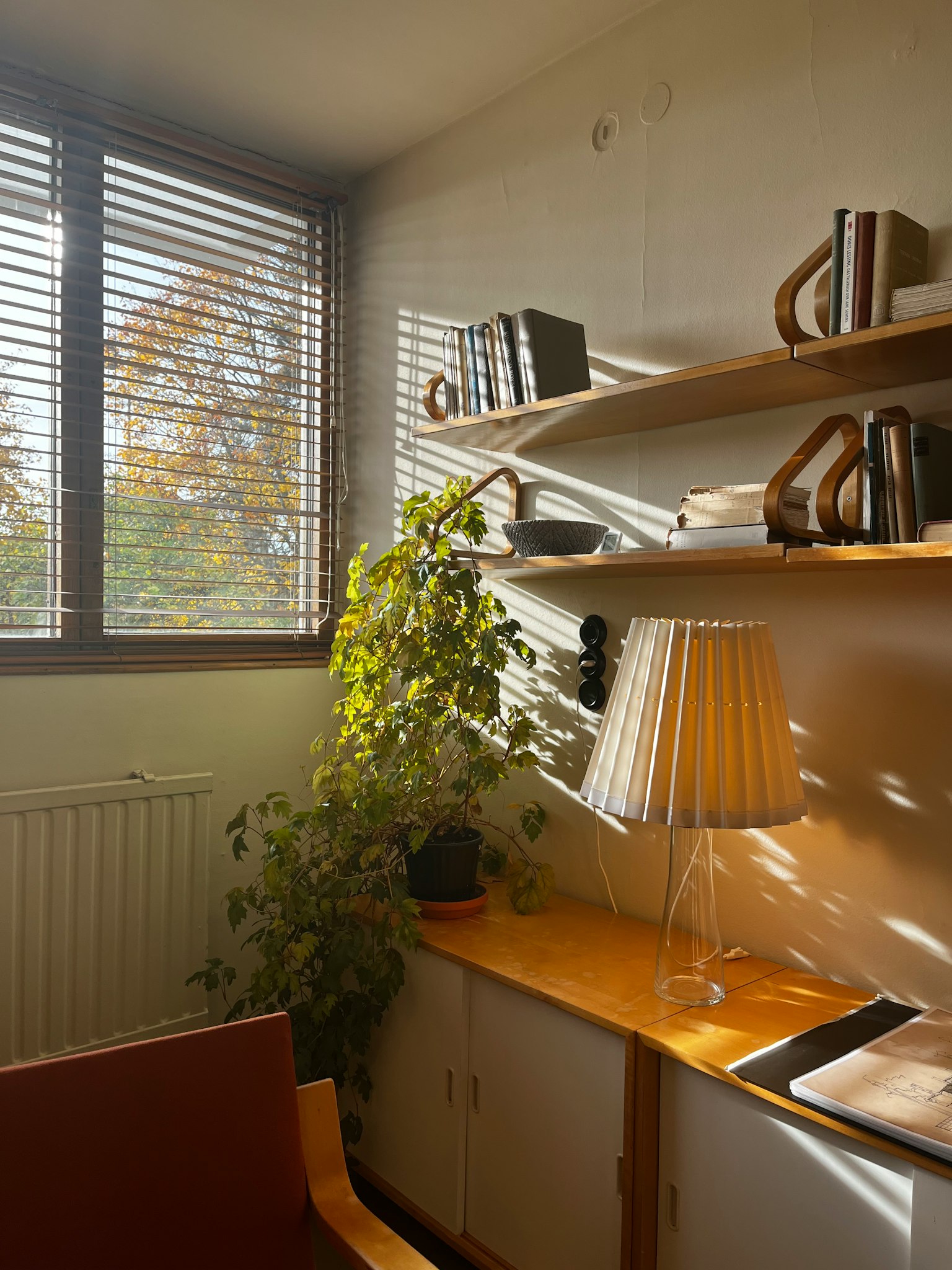 Cozy corner with shelves books and a plant near a sunny window
