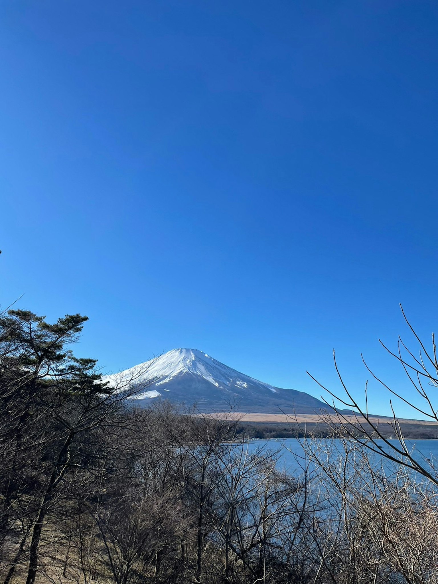 Vista panoramica del monte Fuji sotto un cielo azzurro chiaro con un lago