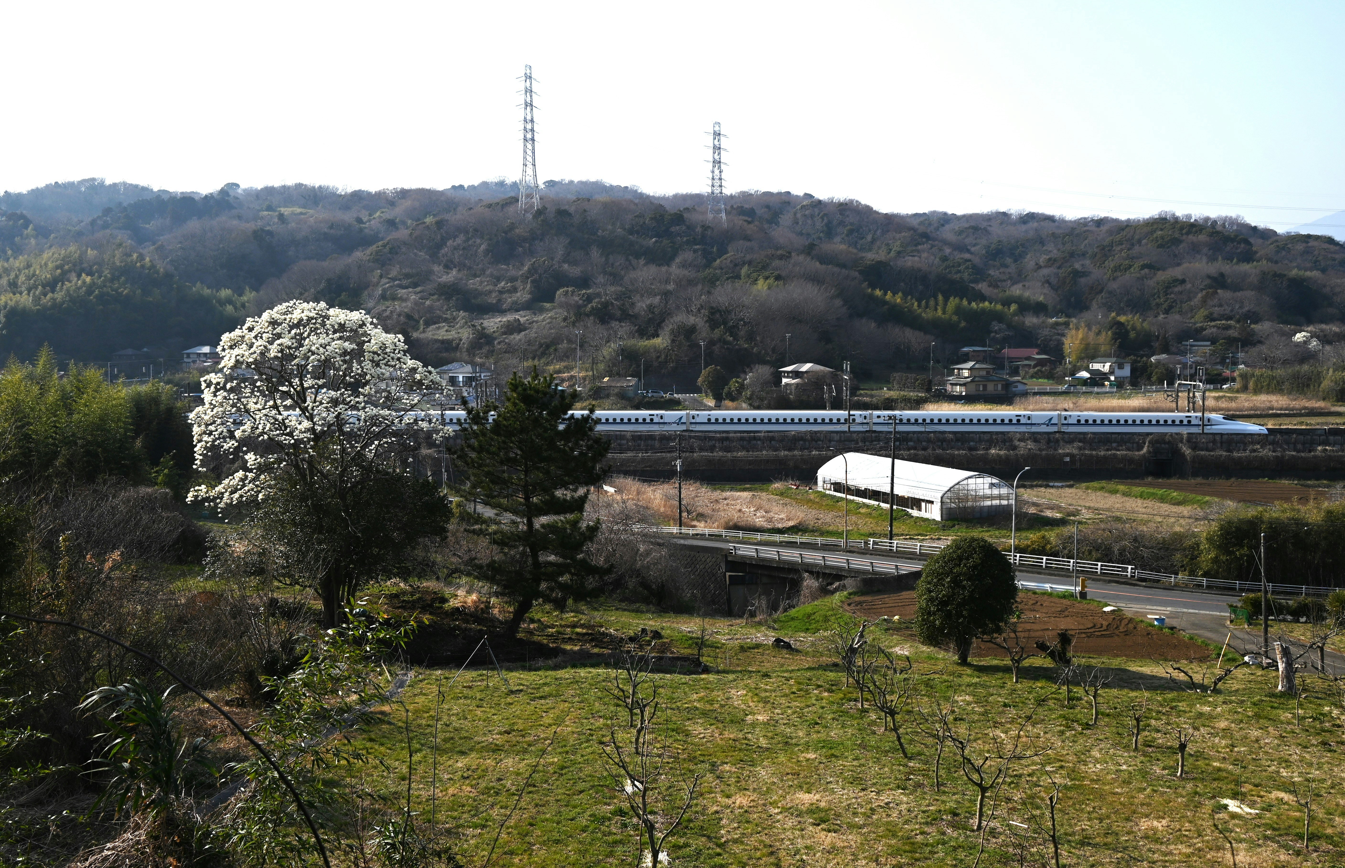 丘陵の風景と新幹線が走る高架橋、桜の木々