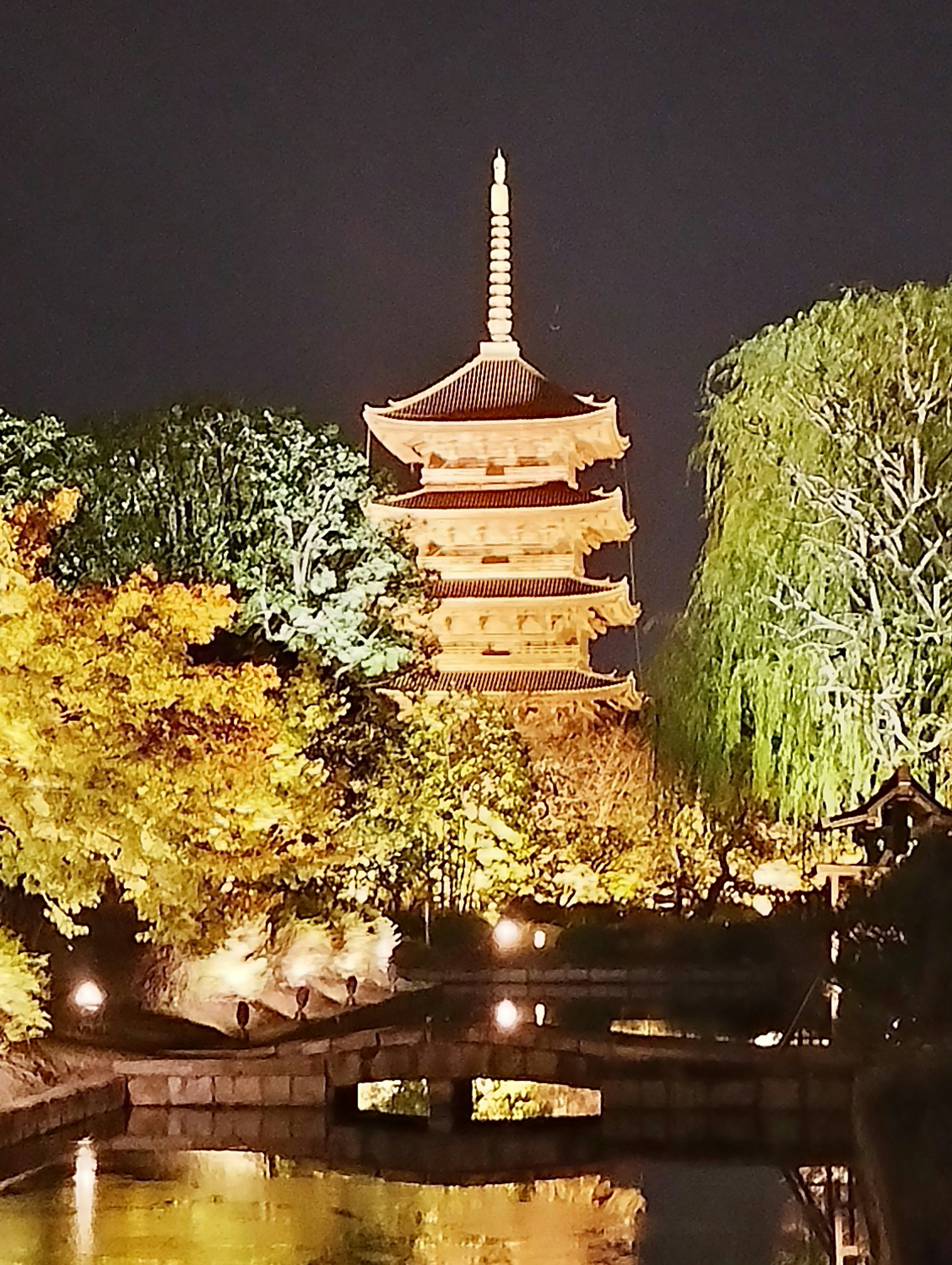 夜のライトアップされた寺院の三重塔と紅葉の並木