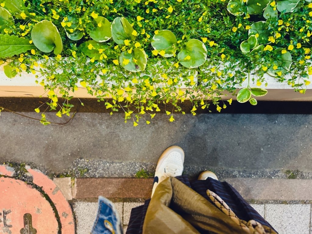 shoes and a jacket on stone steps under leafy branches at night