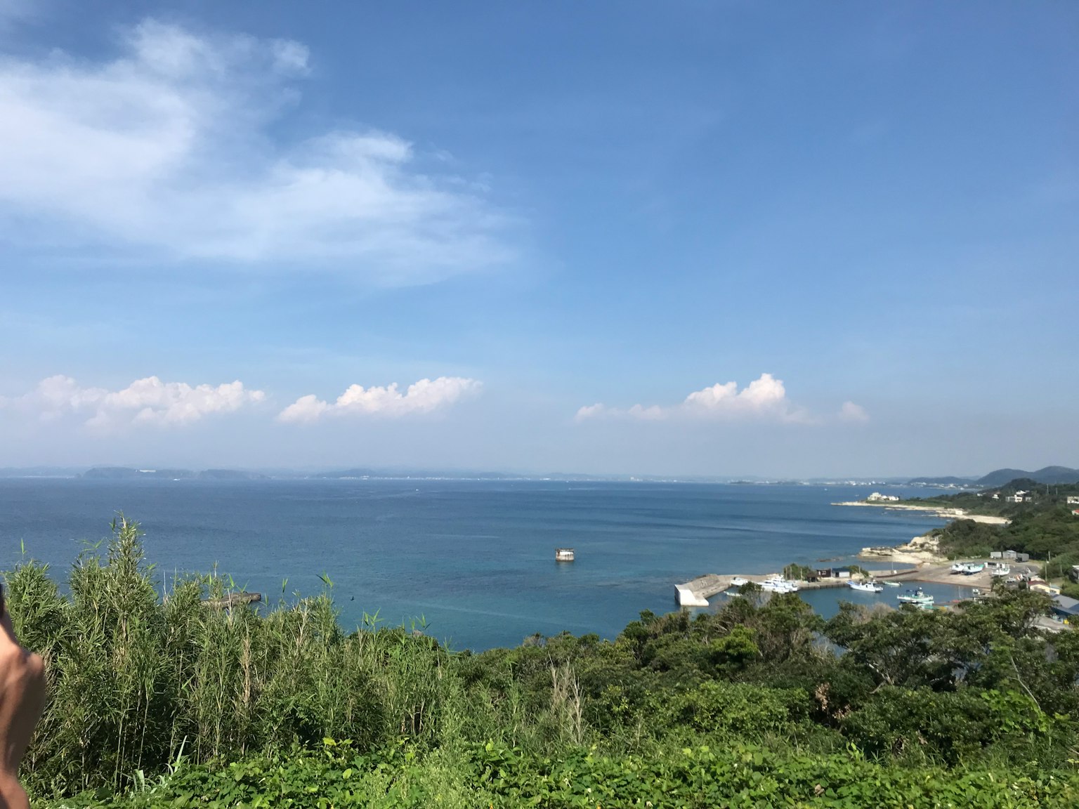 藍色海洋和天空的景色，以及沿海岸線延伸的綠色草地