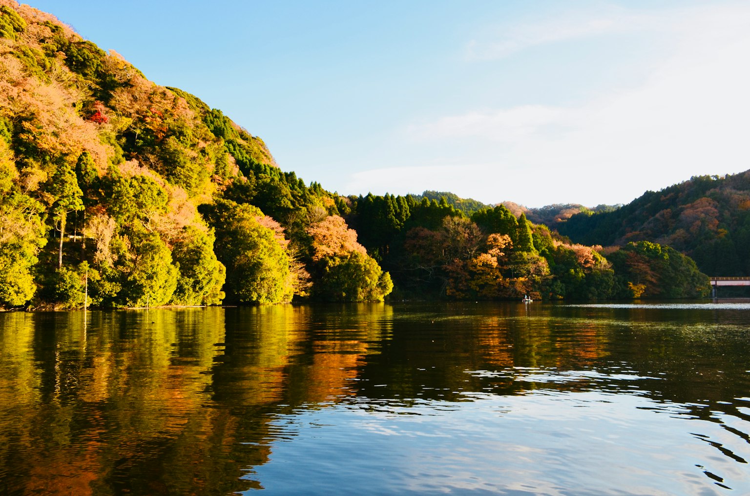 Ruhiges Wasser, das herbstliches Laub und blauen Himmel spiegelt