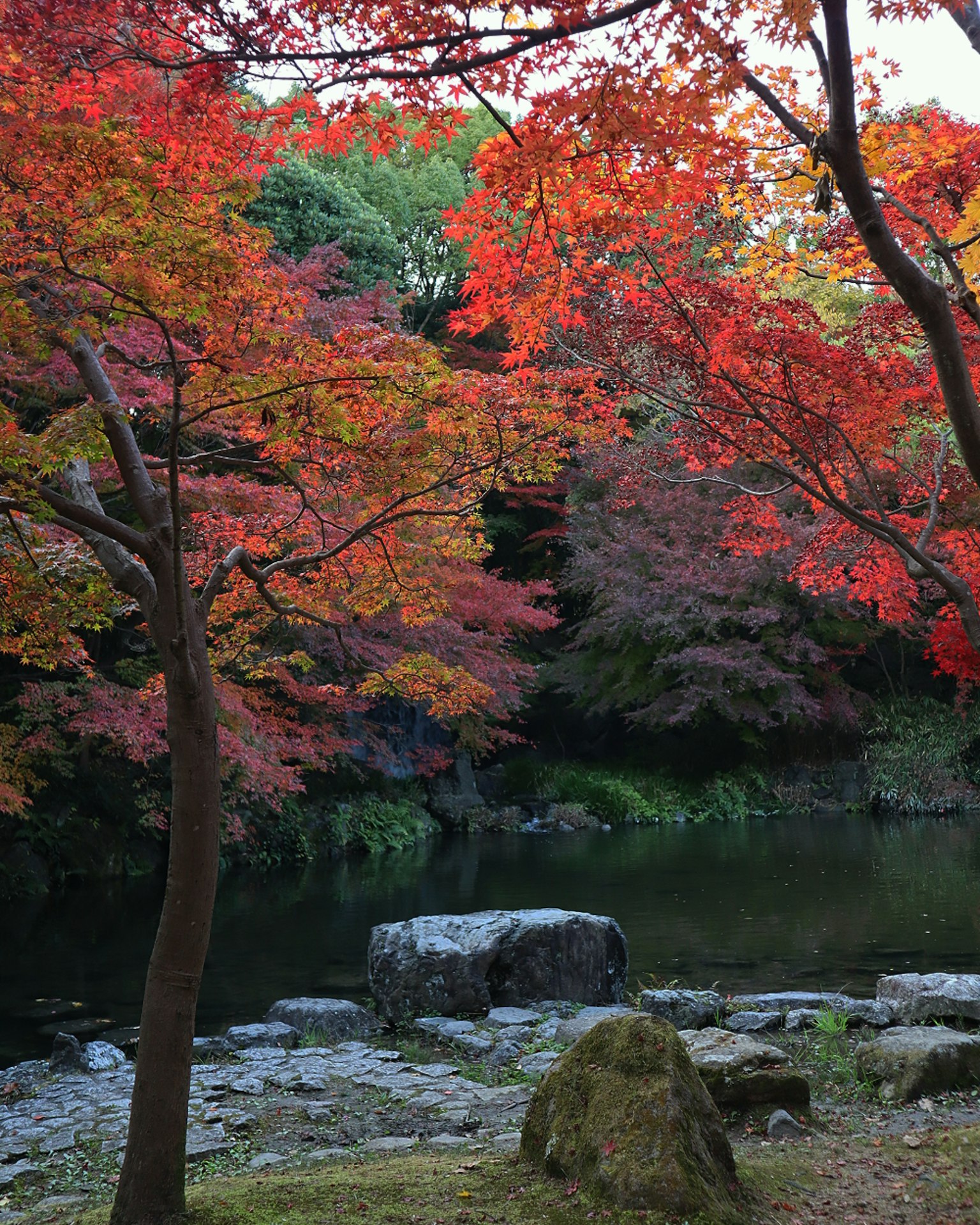 Vista escénica de un estanque tranquilo rodeado de vibrantes hojas rojas de otoño