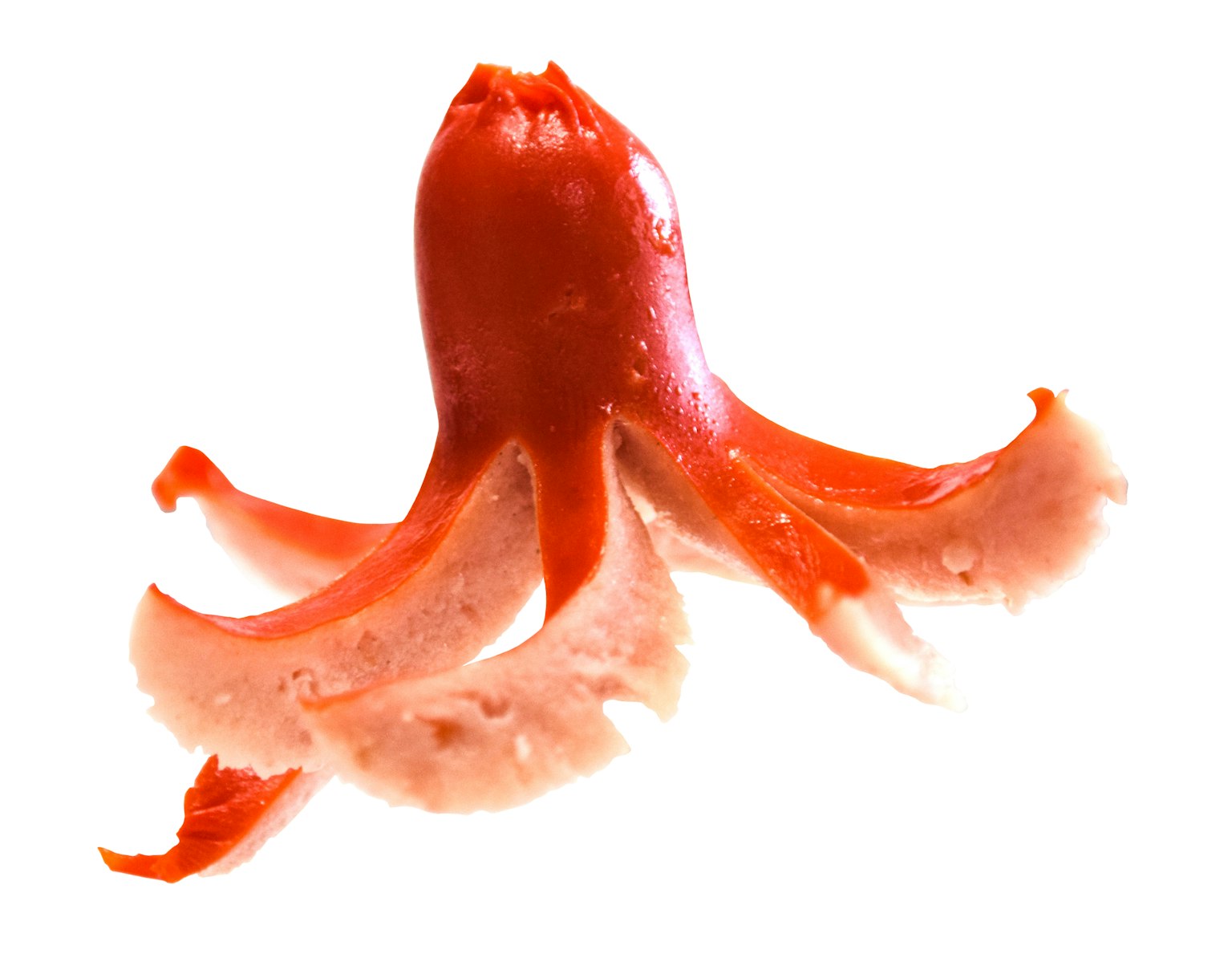 Imagen de una criatura similar a un pulpo de color rojo brillante