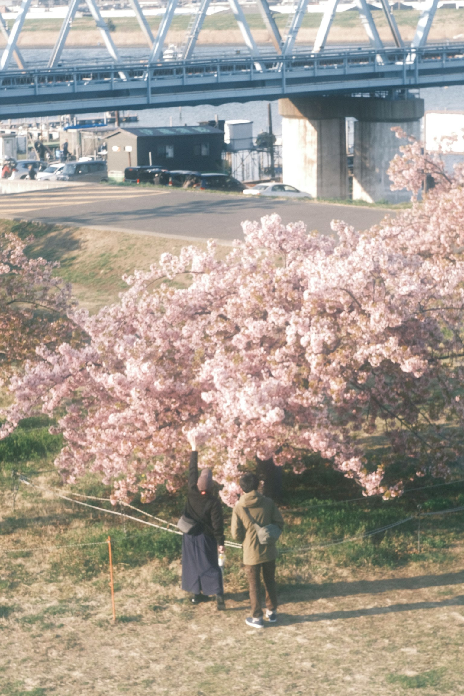 photo-Fr93IGvVBjckiVzN904V-image