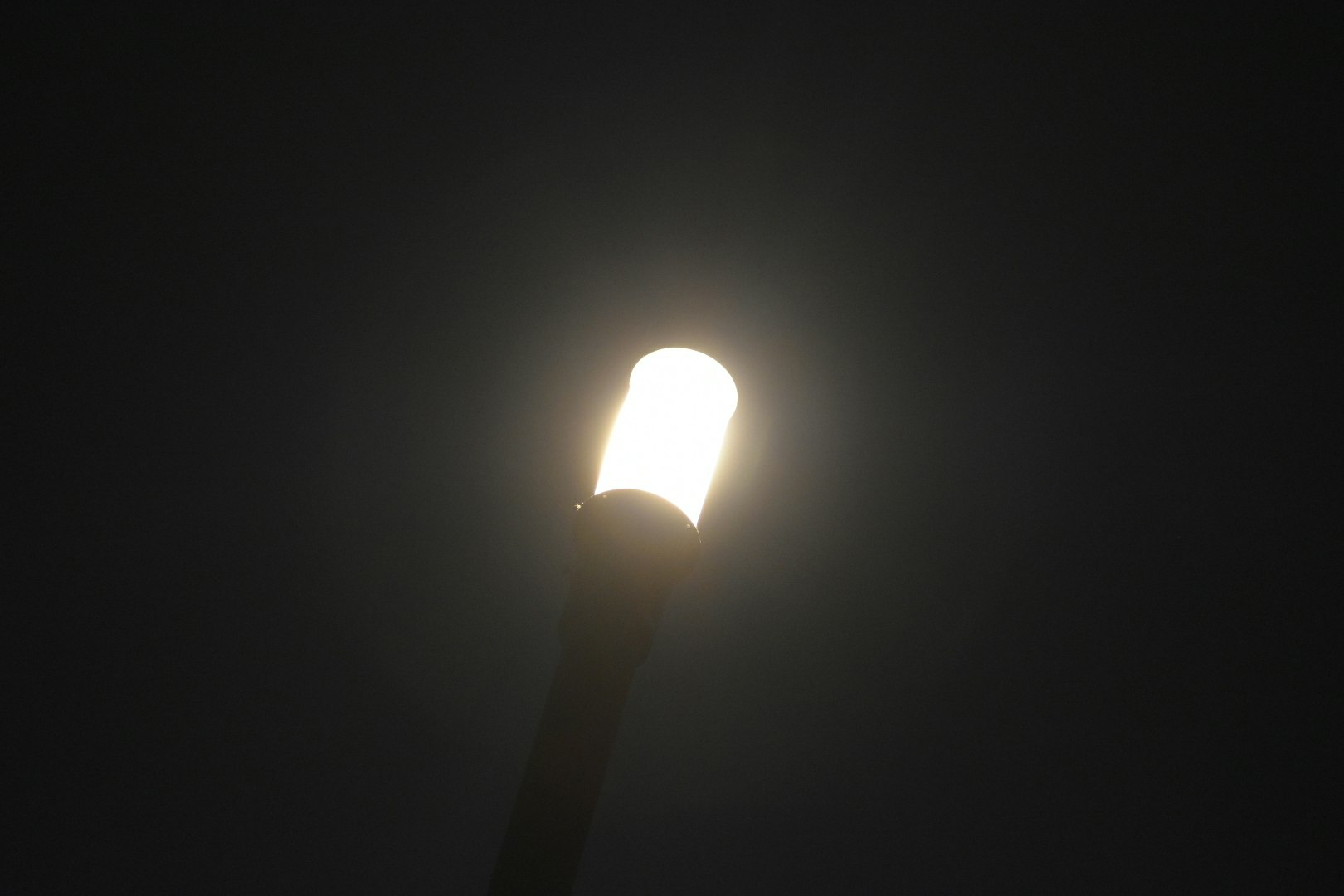昼白色路灯的光晕在雾气般的夜色中扩散