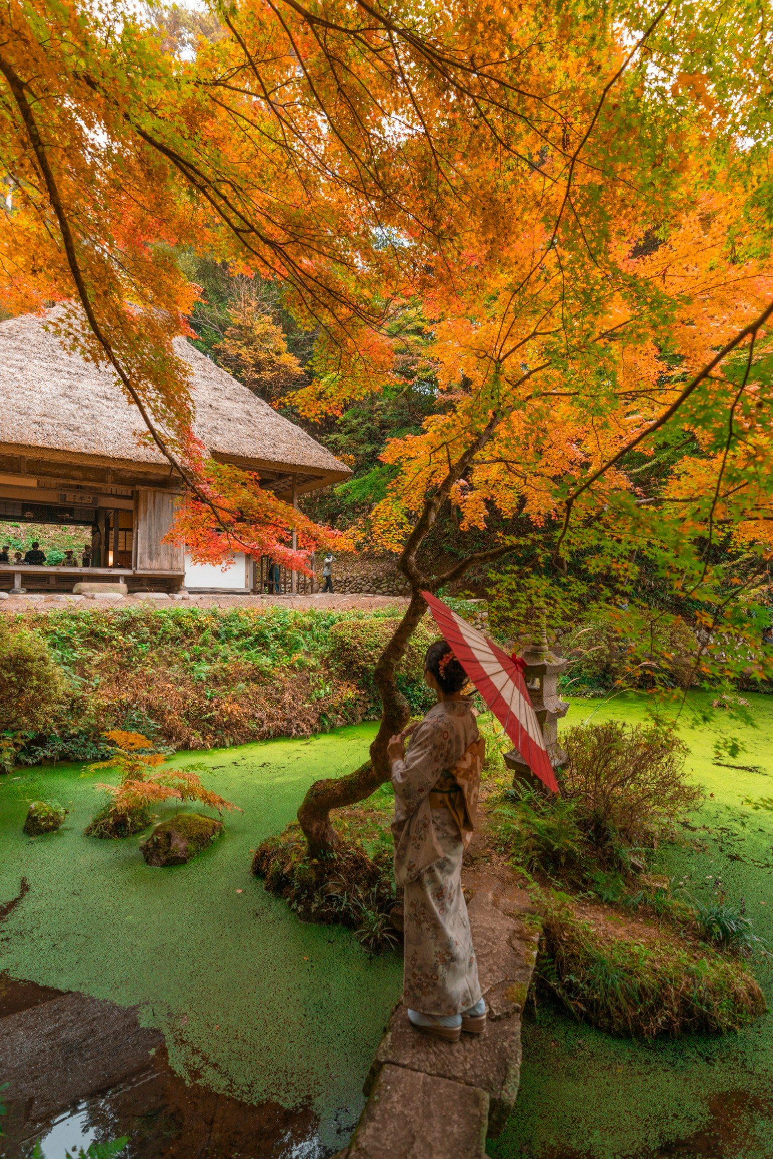 Frau im Kimono mit einem traditionellen Regenschirm inmitten lebhafter Herbstblätter