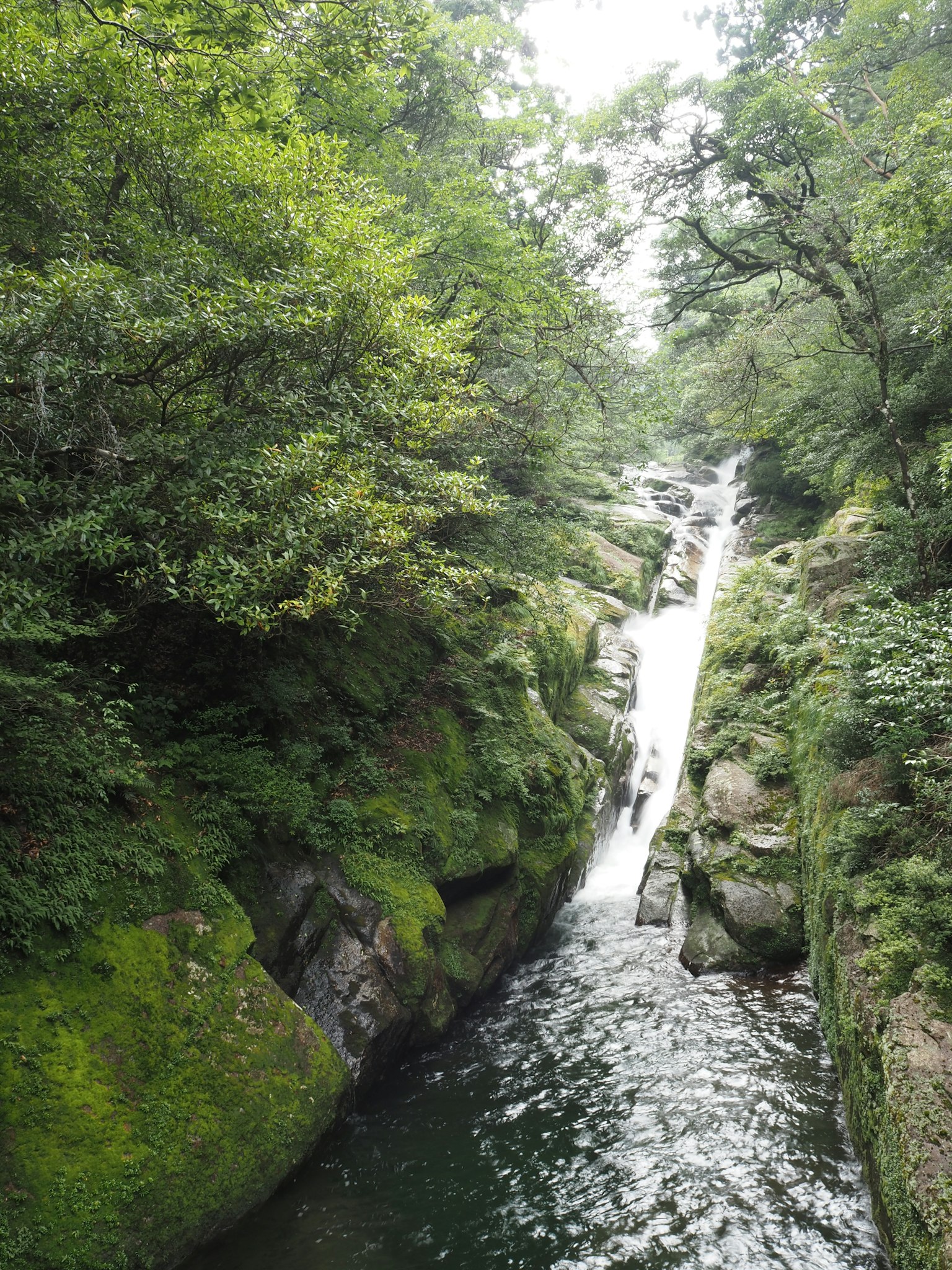Air terjun pemandangan dikelilingi pepohonan hijau subur dan aliran jernih