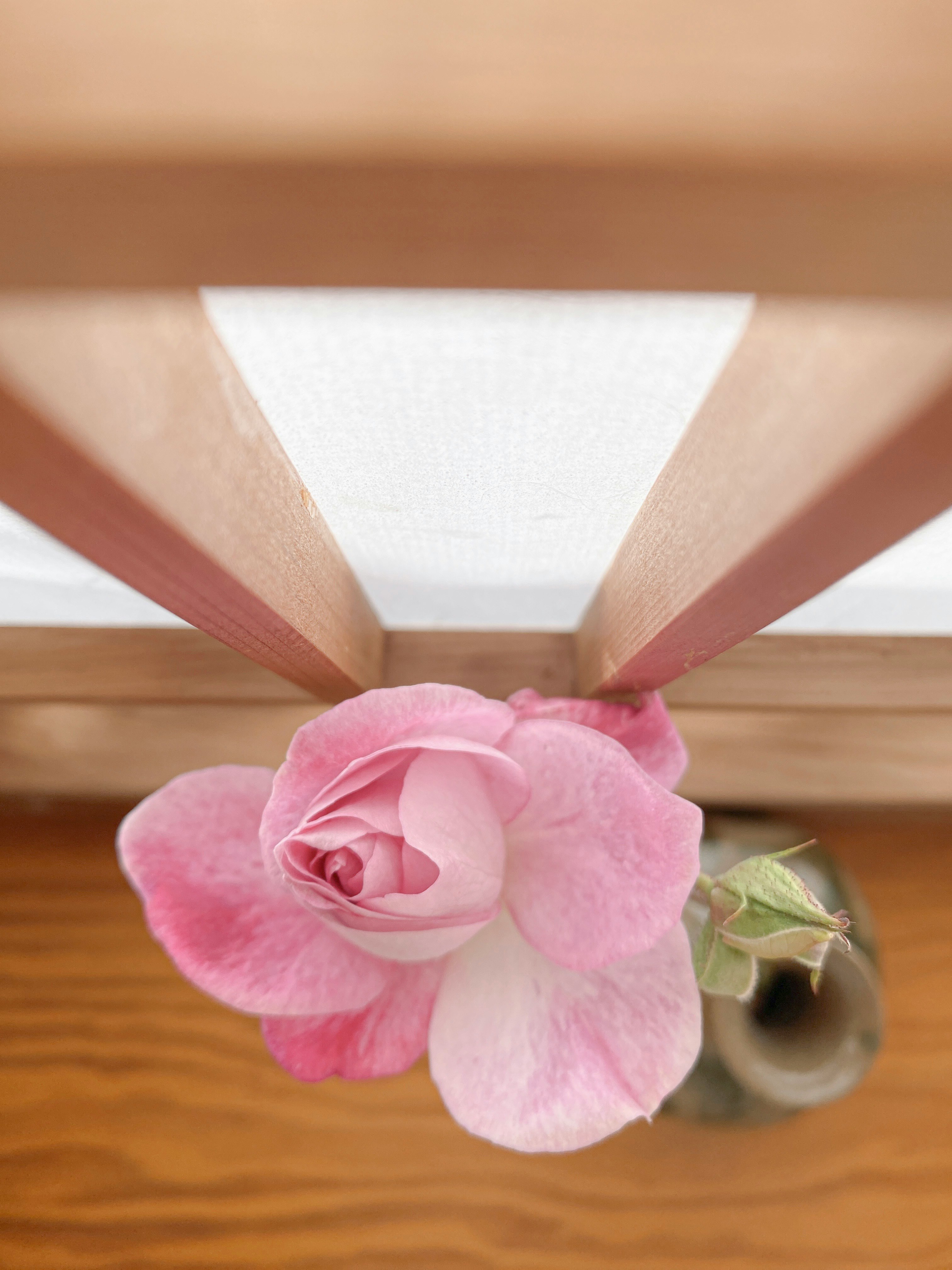 Fleur de rose rose sur une étagère en bois