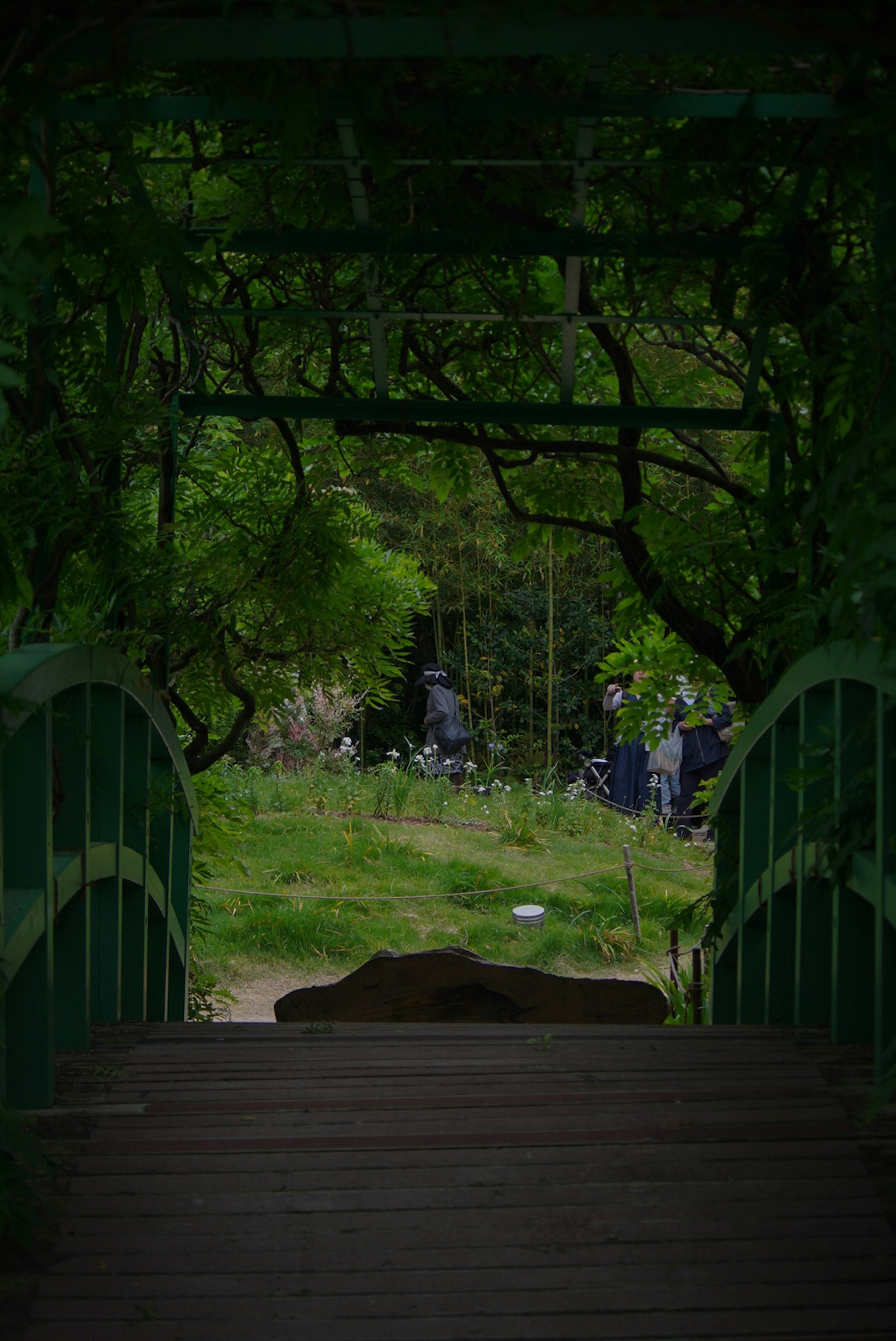 Vue à travers un pont recouvert de verdure menant à un chemin luxuriant