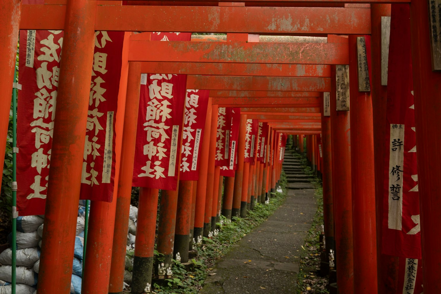 Sendero flanqueado por torii rojos adornados con pancartas