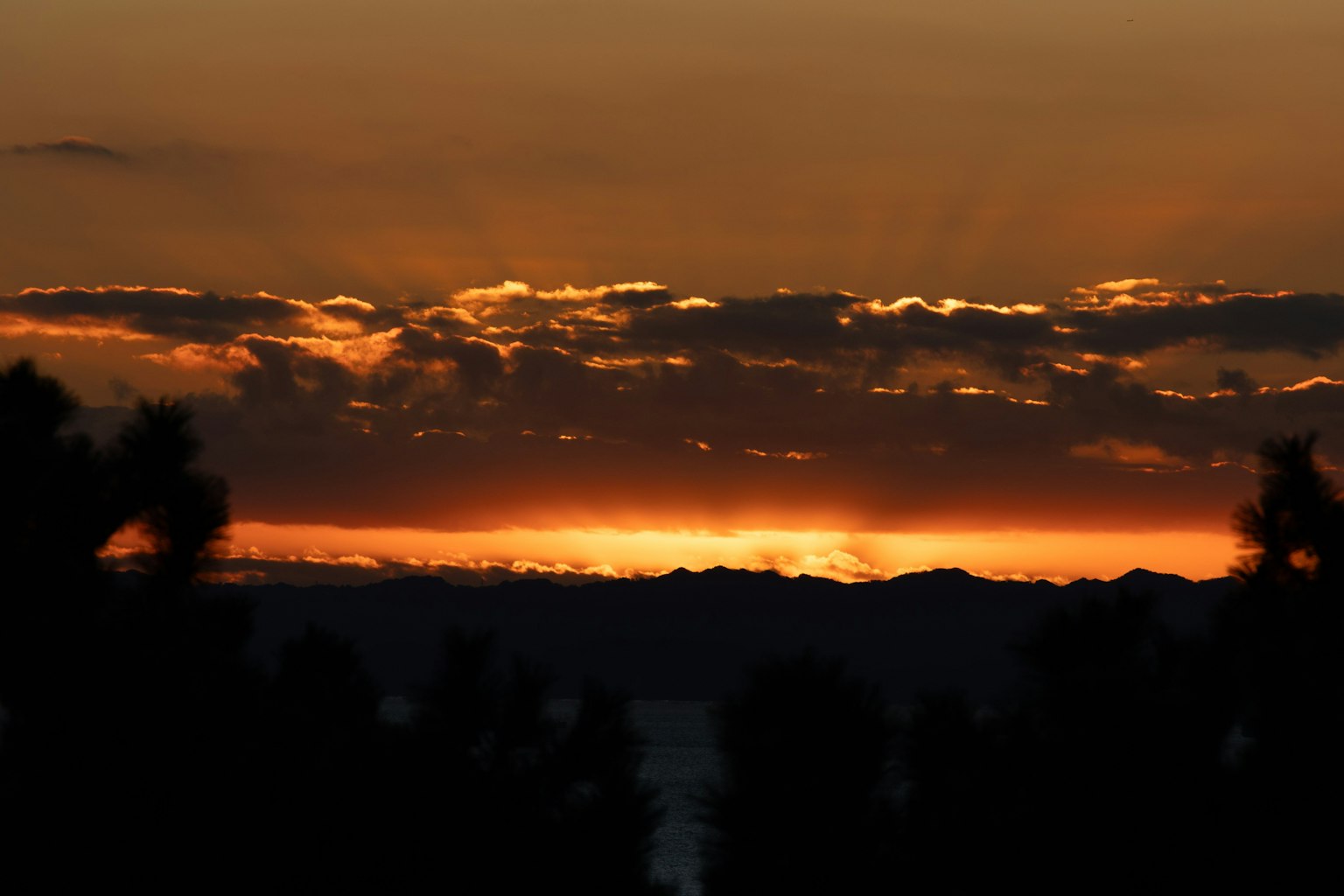 Bellissimo paesaggio al tramonto con cielo arancione e silhouette nera di alberi
