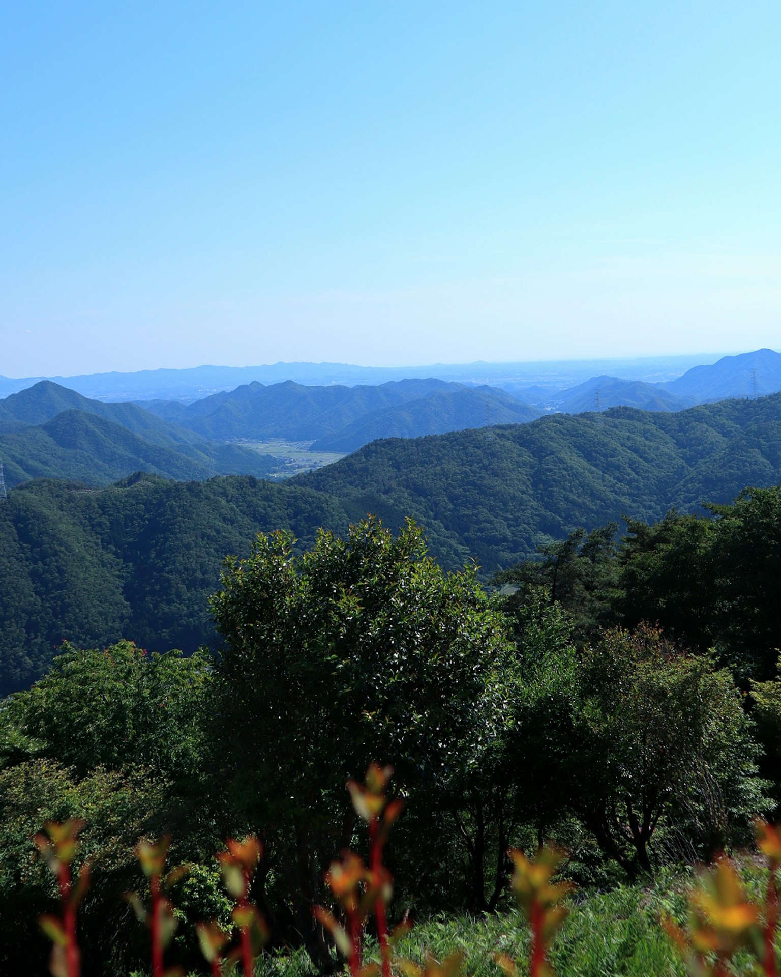 Scenic view of mountains under a blue sky with green trees and autumn foliage