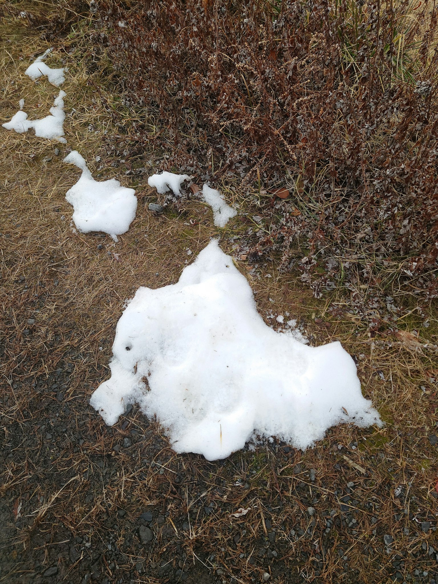 A patch of snow resting on dry grassland