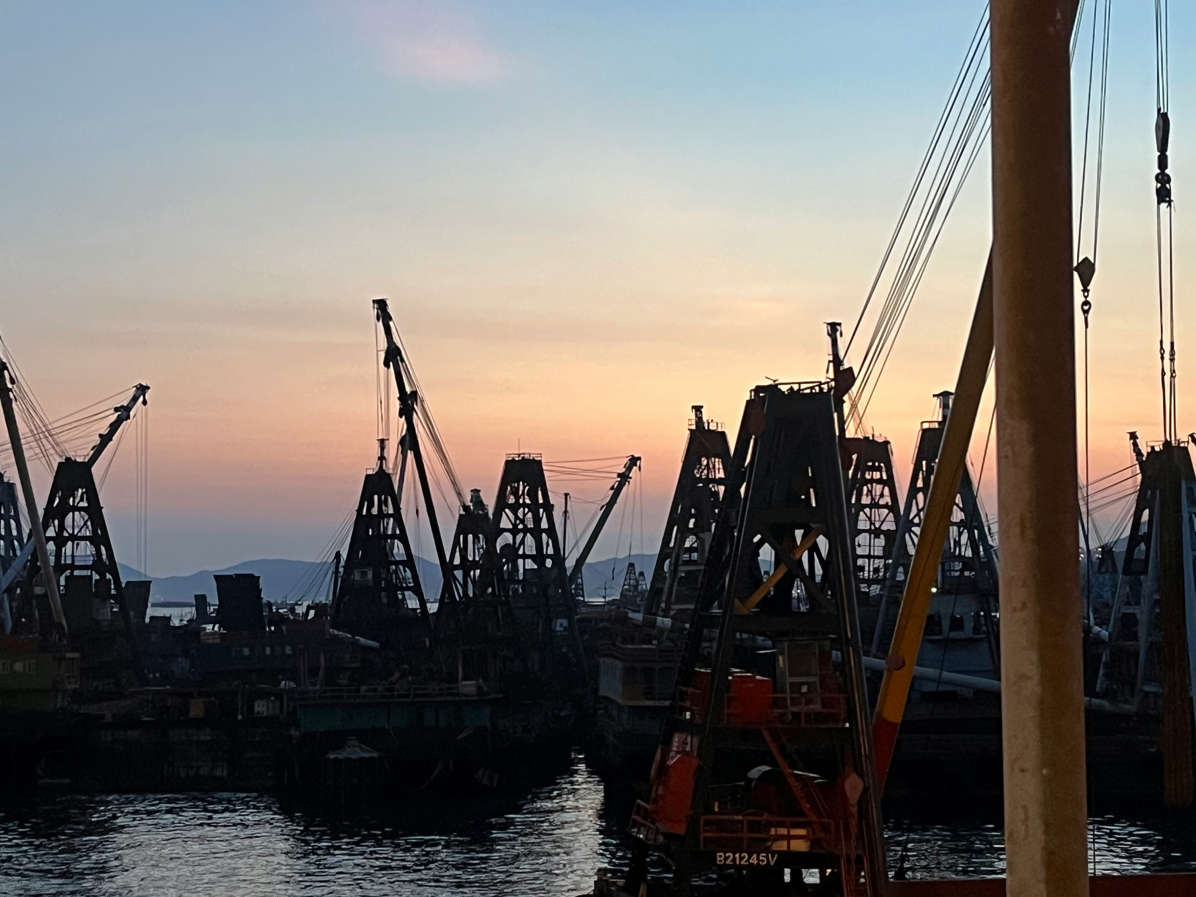 夕暮れの港でクレーンが並ぶ作業風景