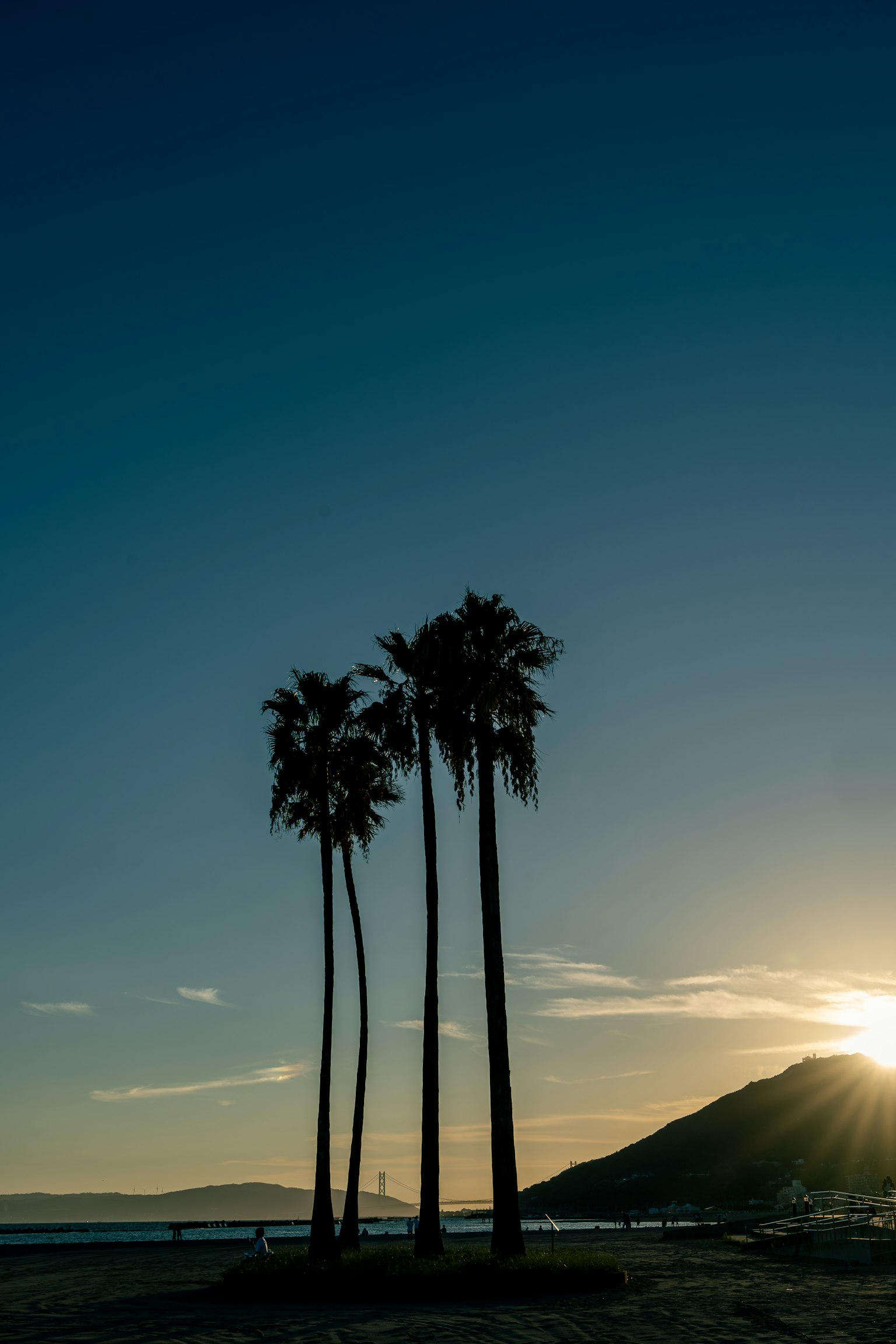 Silhouette von Palmen gegen den Sonnenuntergang und den Berg