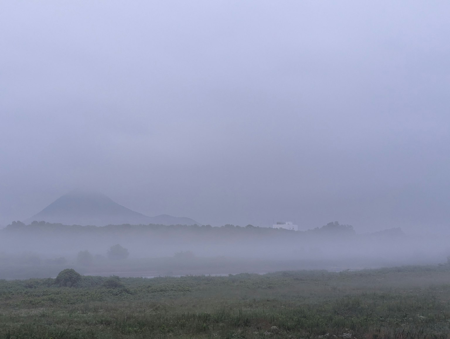 雾气弥漫的风景,背景有山