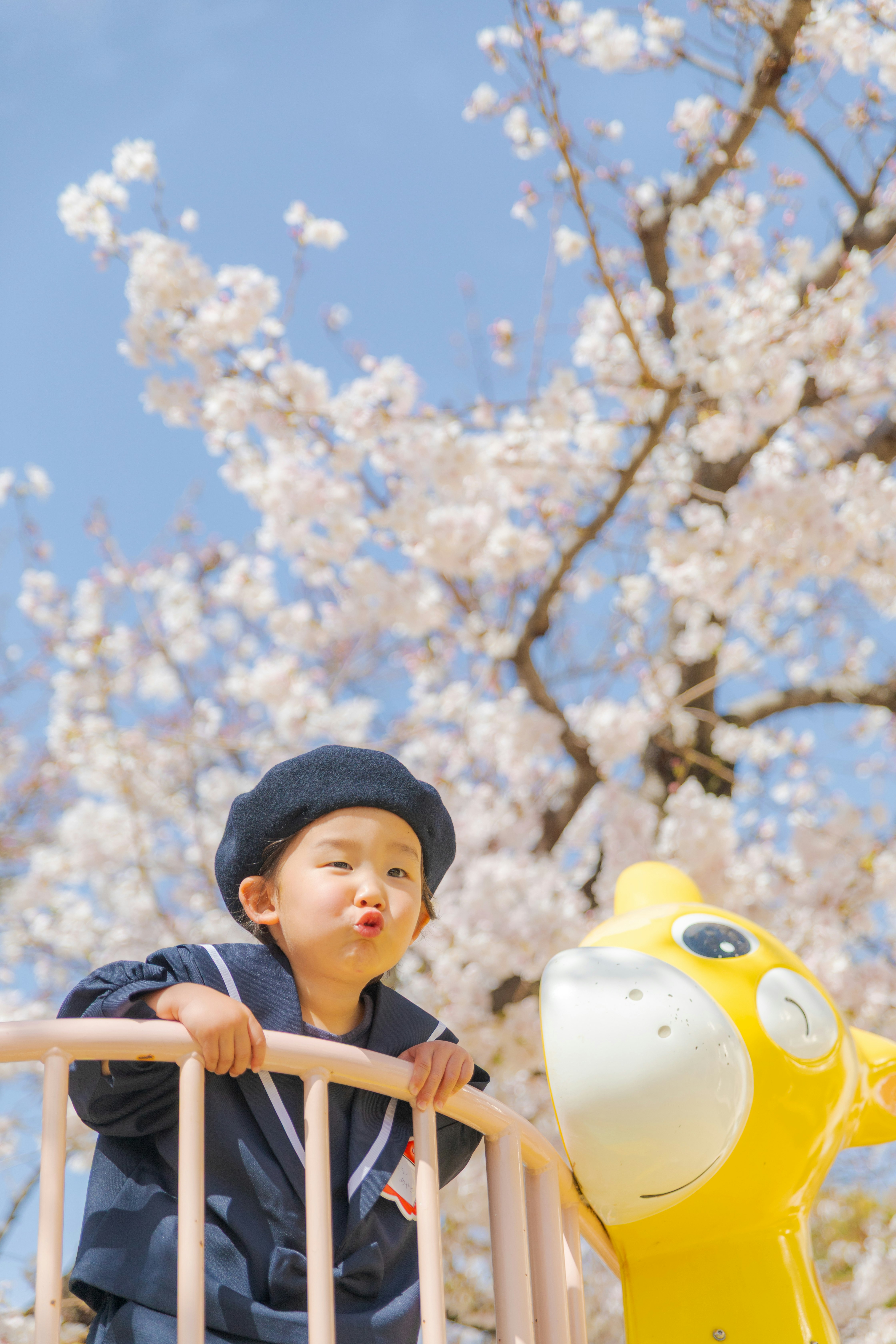 入園式の子どもと黄色い乗り物の前で咲く桜の下