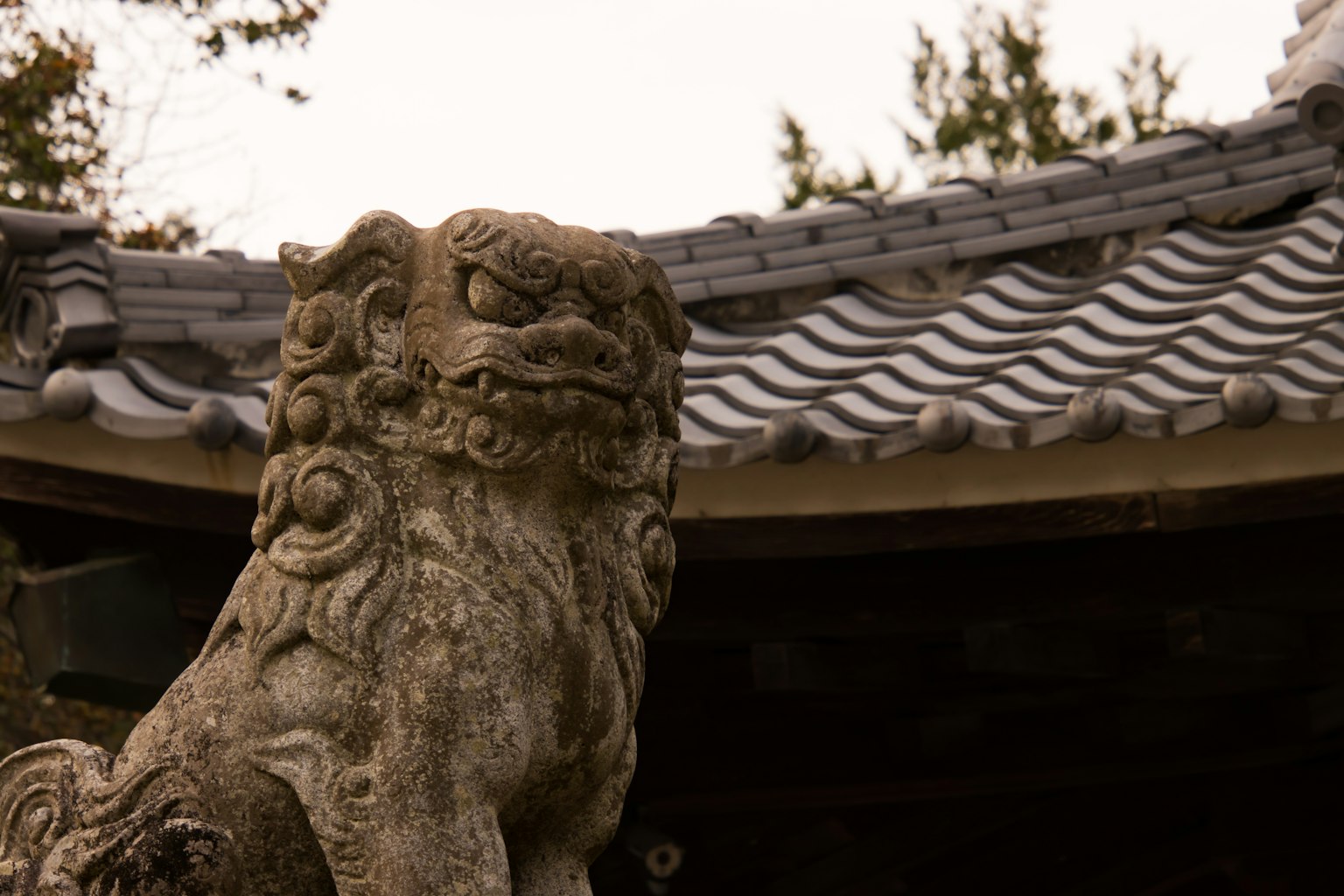 Stone lion statue at a Japanese temple with a traditional roof
