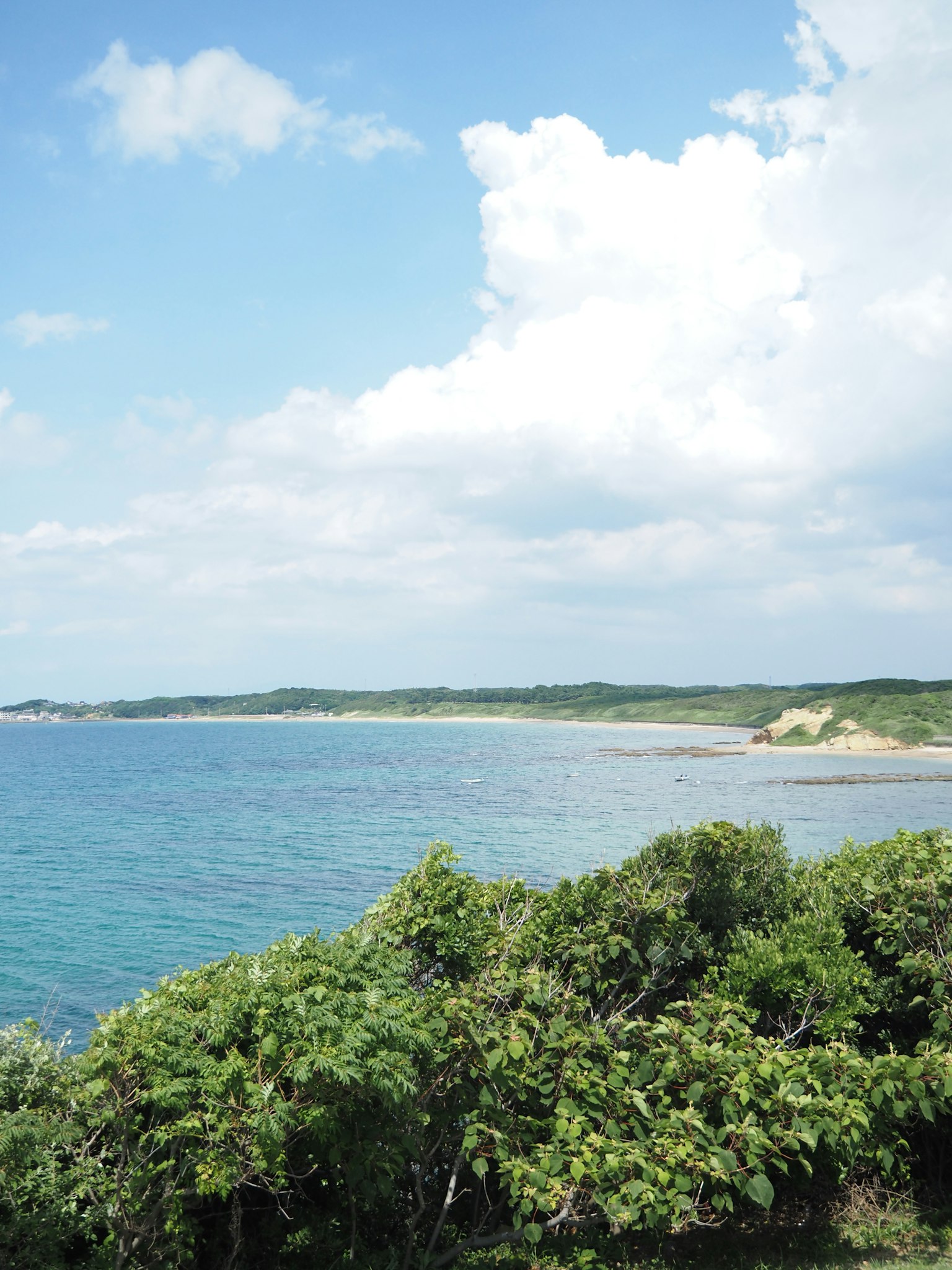Vista panoramica dell'oceano blu e del fogliame verde