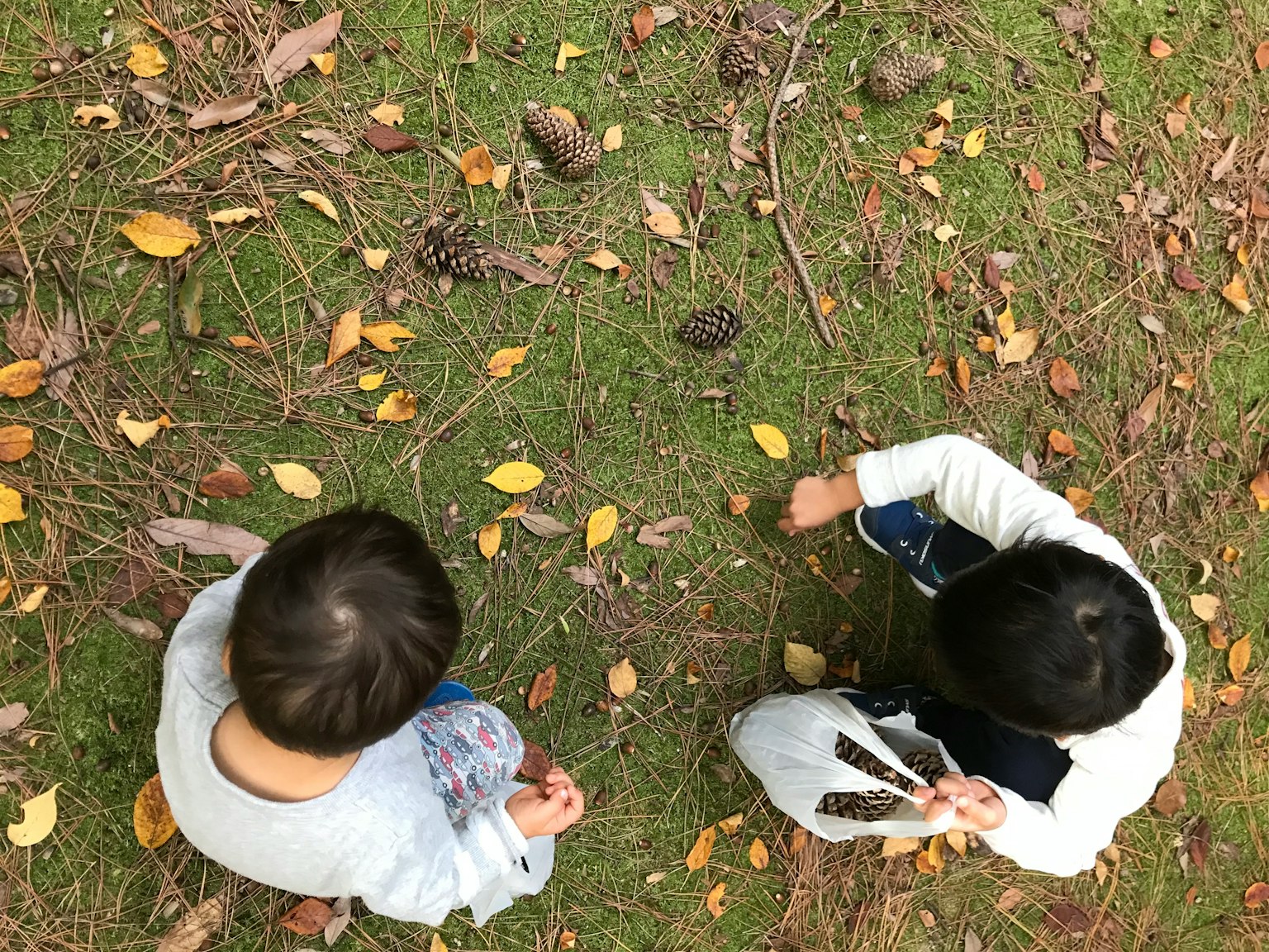 Due bambini seduti a terra circondati da foglie secche e pigne