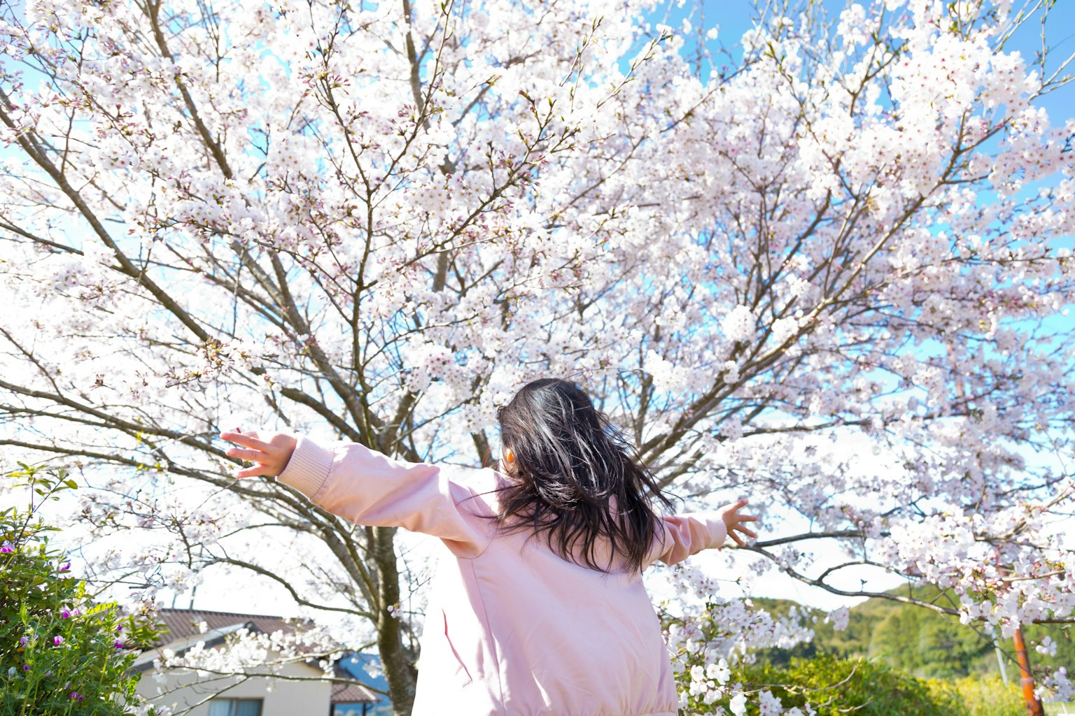 Gadis bahagia berdiri di bawah pohon sakura