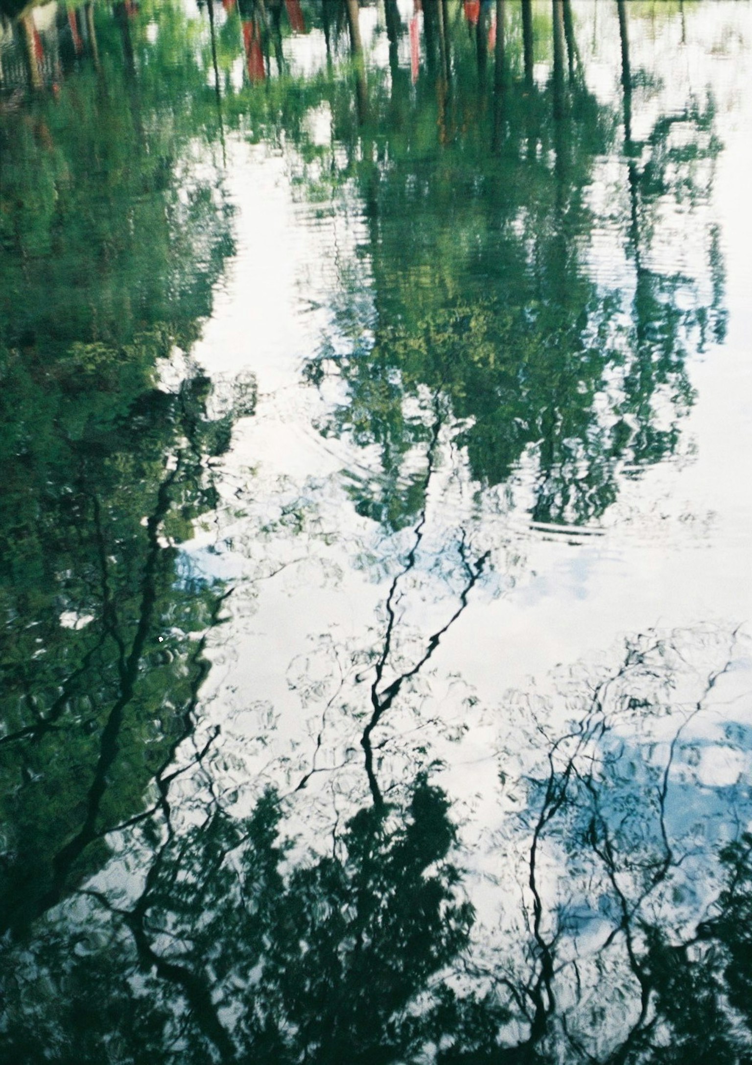 Reflejo de árboles y nubes en la superficie del agua