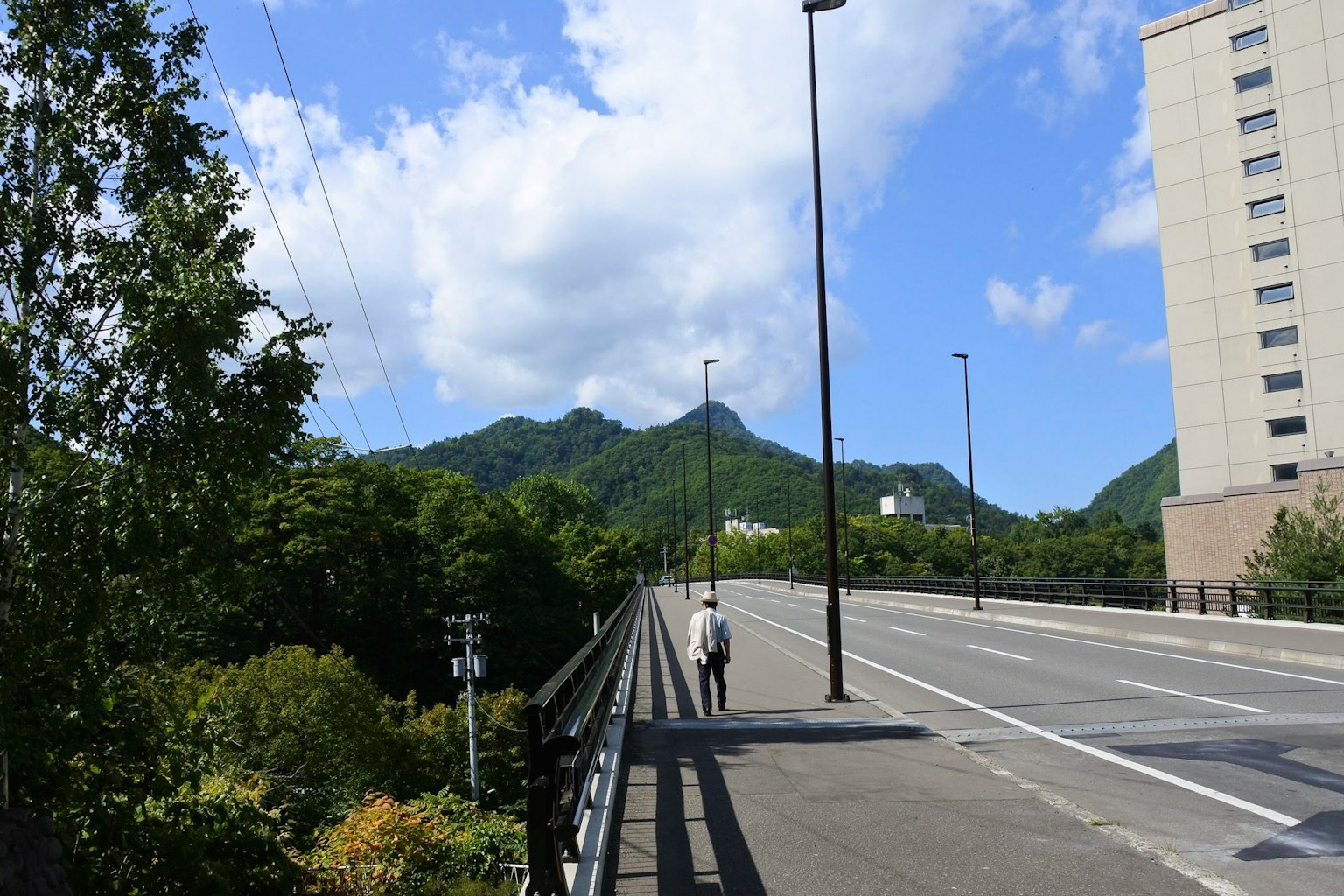 A bridge scene with a person walking under green mountains and a blue sky