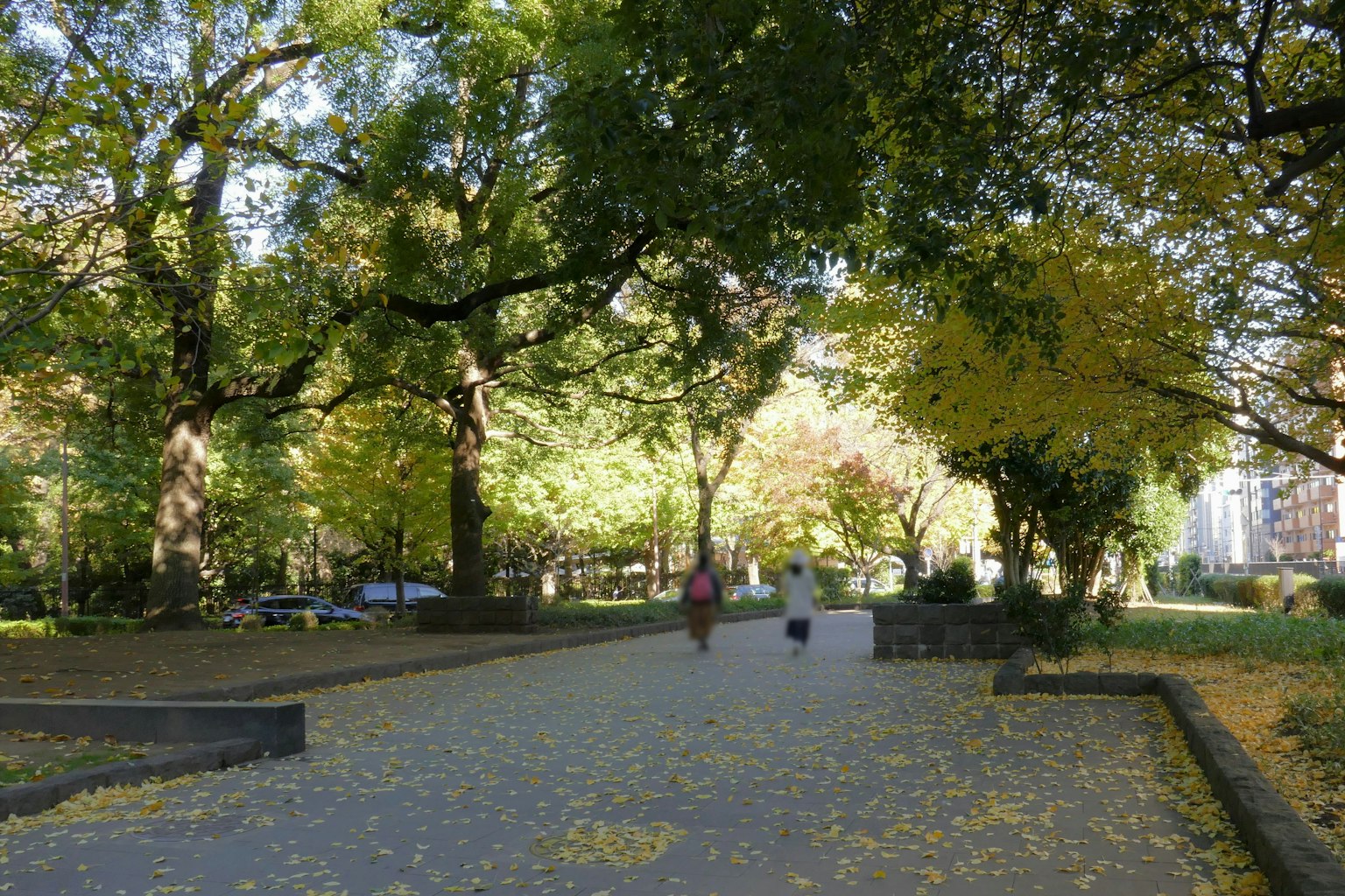 People walking on a park pathway surrounded by autumn trees