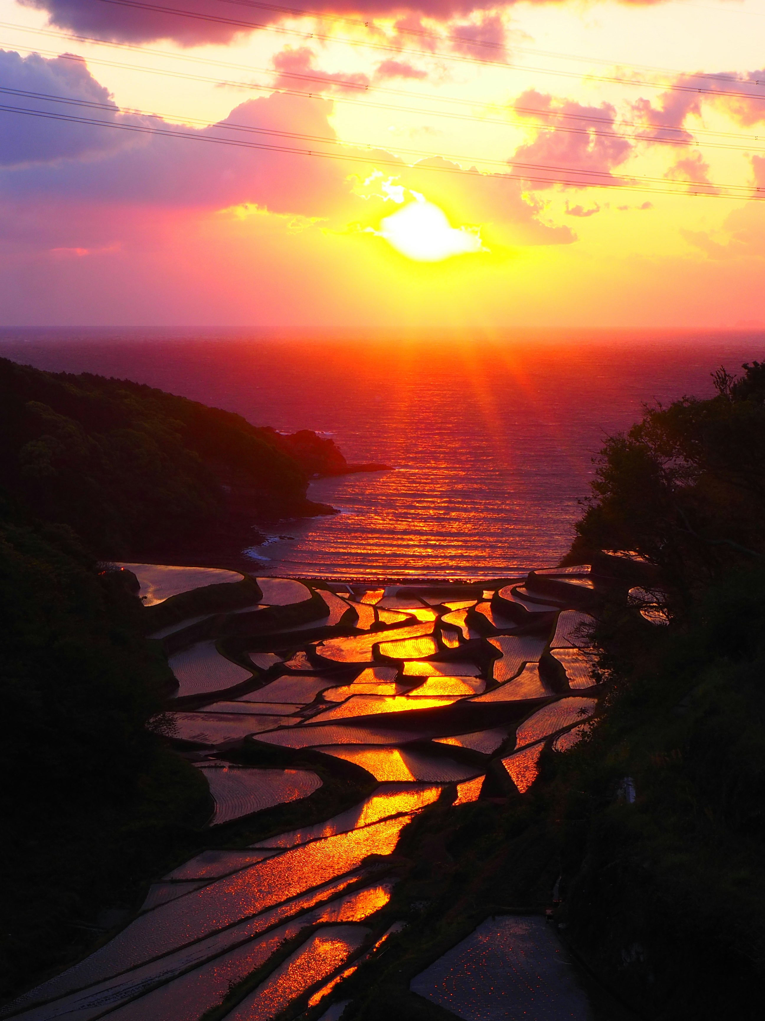 Magnifique coucher de soleil sur l'océan avec des rizières scintillantes