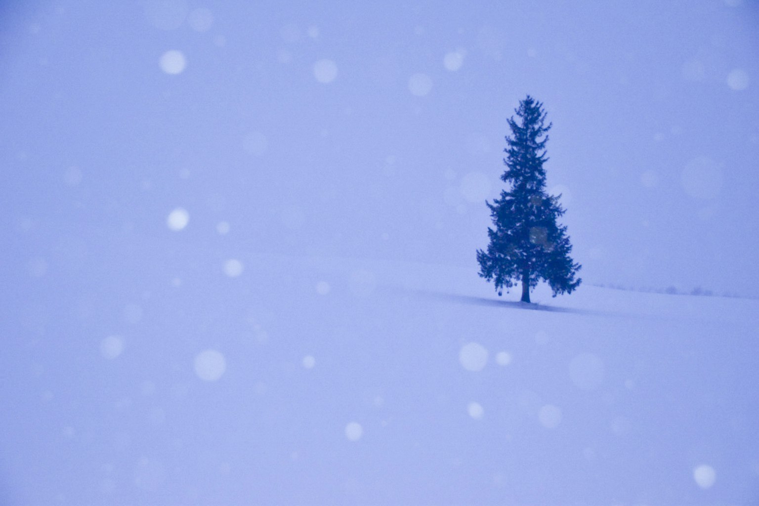 Un arbre solitaire dans un paysage enneigé avec des flocons de neige