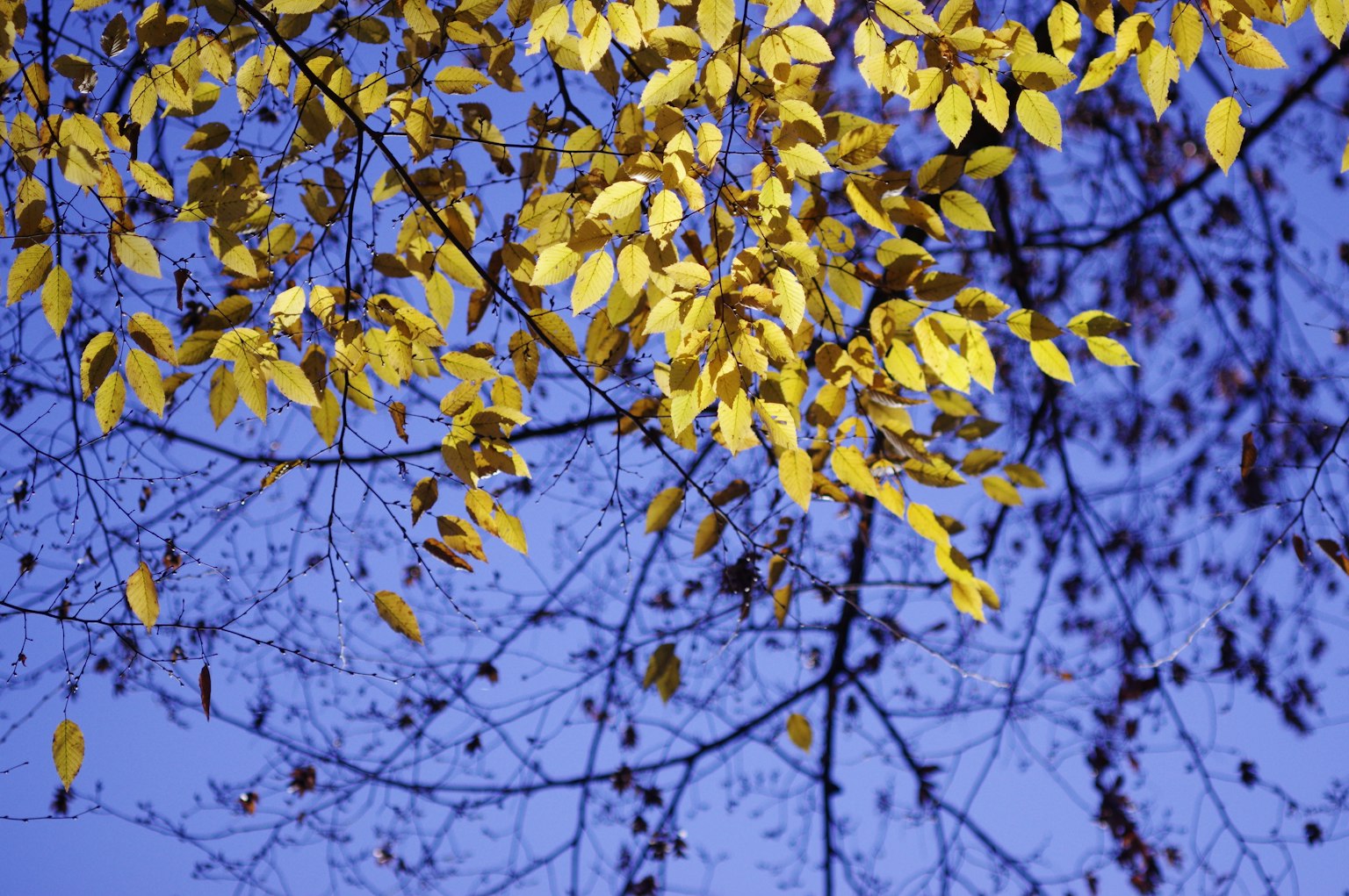 暗い背景にシンプルなデザインのグレーの四角形
