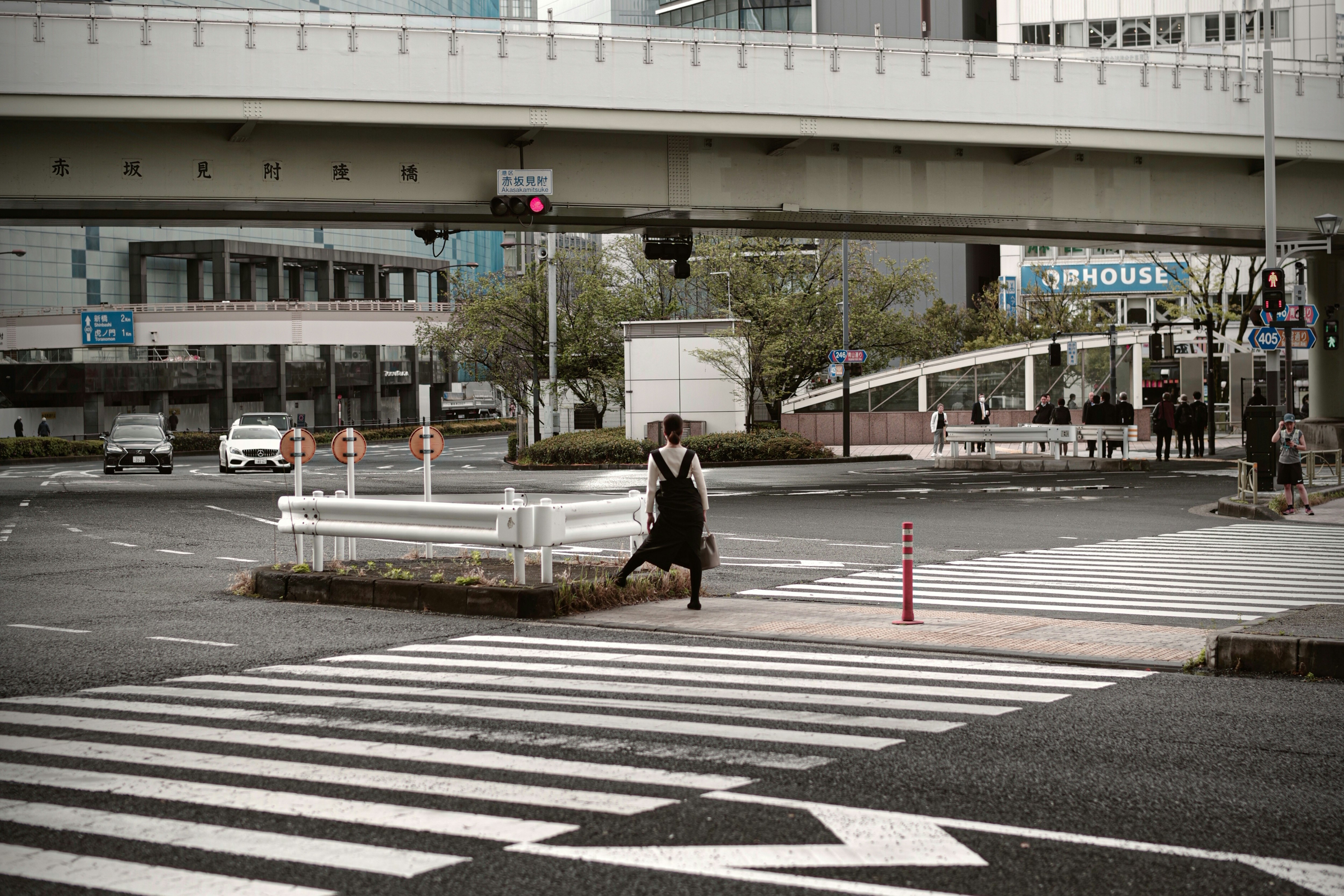 東京の横断歩道で信号待ちしながら歩く人のある街並み