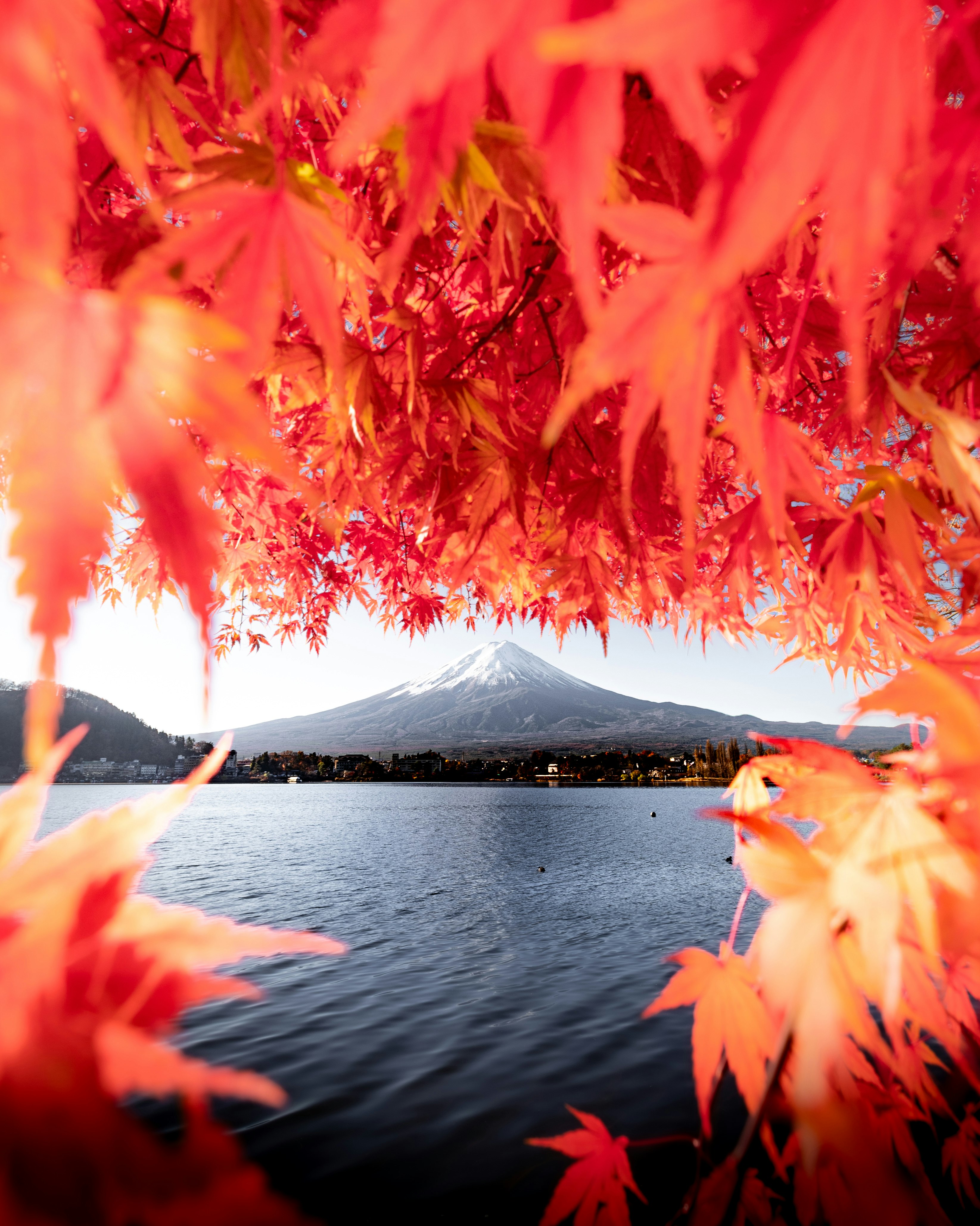夕暮れの湖畔を紅葉の葉越しに望む景色