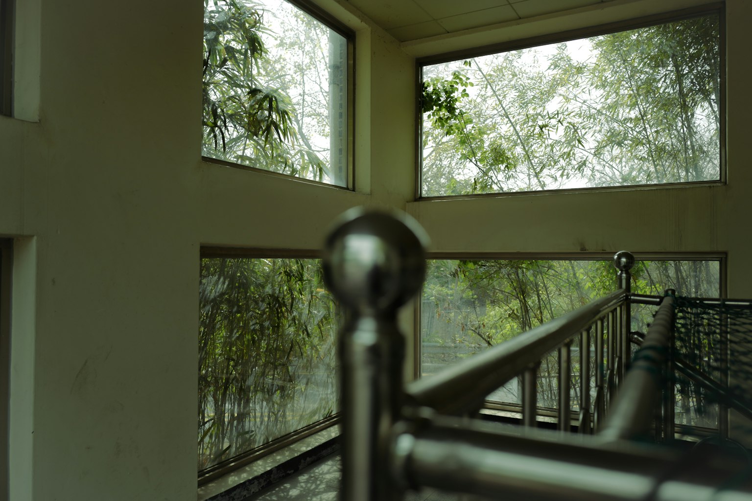 ทิวทัศน์ภายในที่มีหน้าต่างขนาดใหญ่แสดงความเขียวขจี