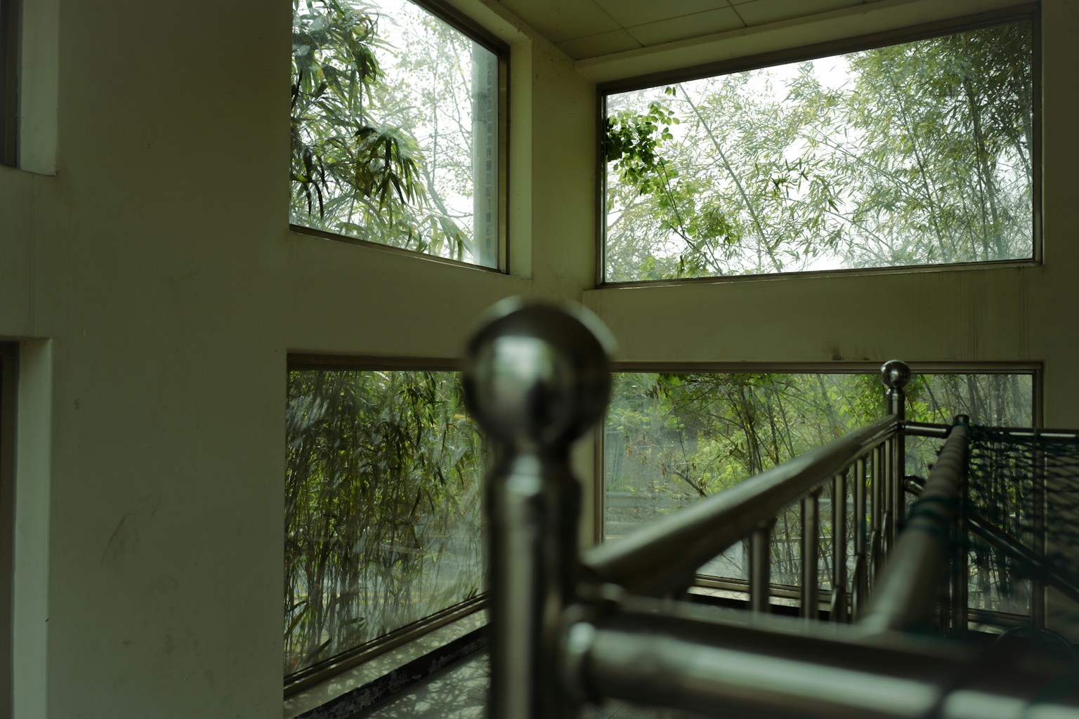 photo-G3t725DNXcZfbNatMyGj-image