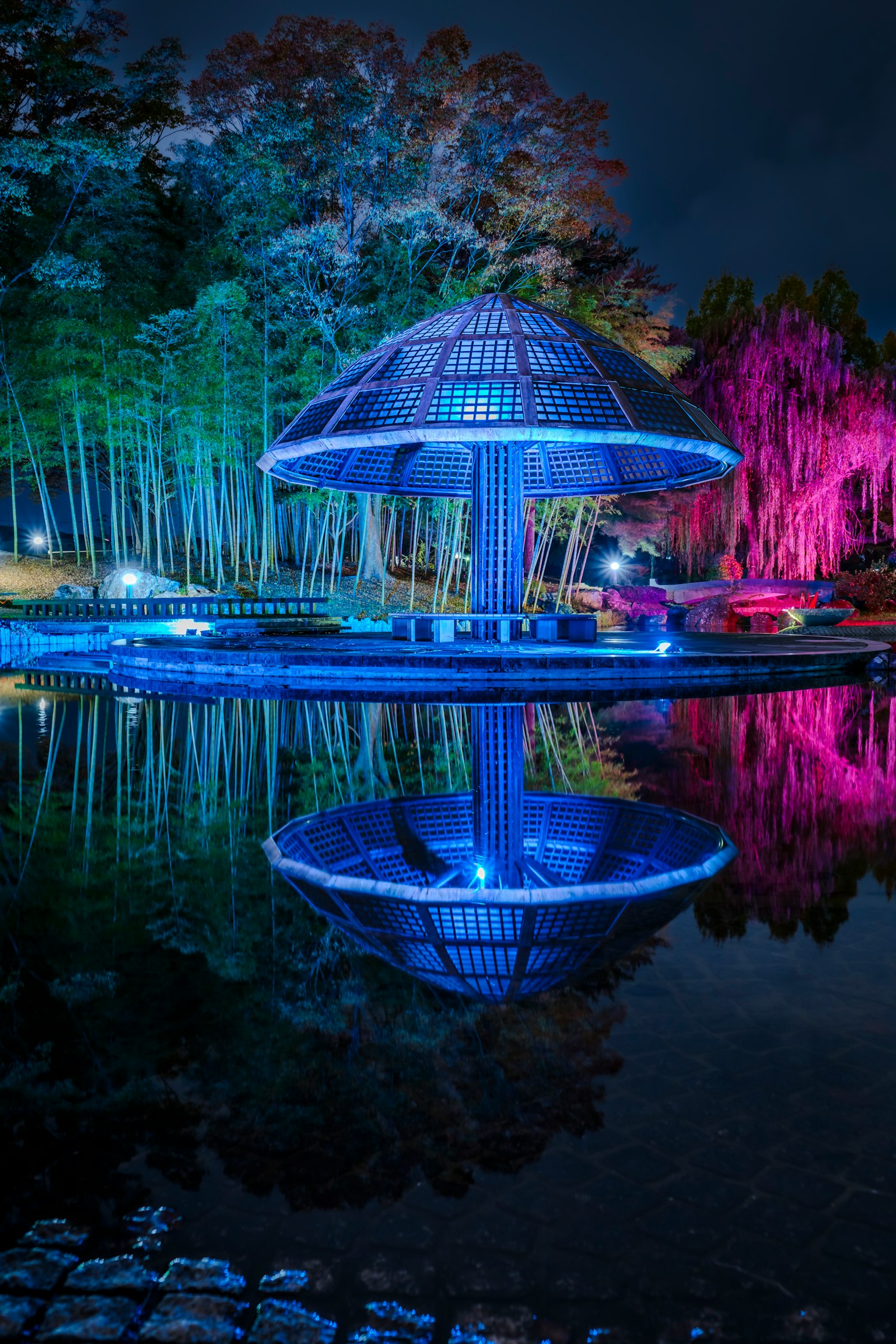 夜晚池塘中映出的色彩斑斓的大伞形结构