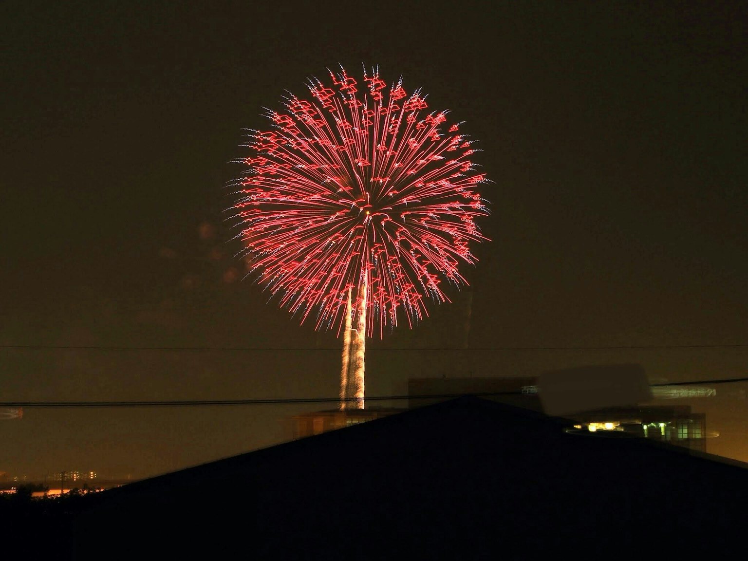 Grand feu d'artifice rose fleurissant dans le ciel nocturne