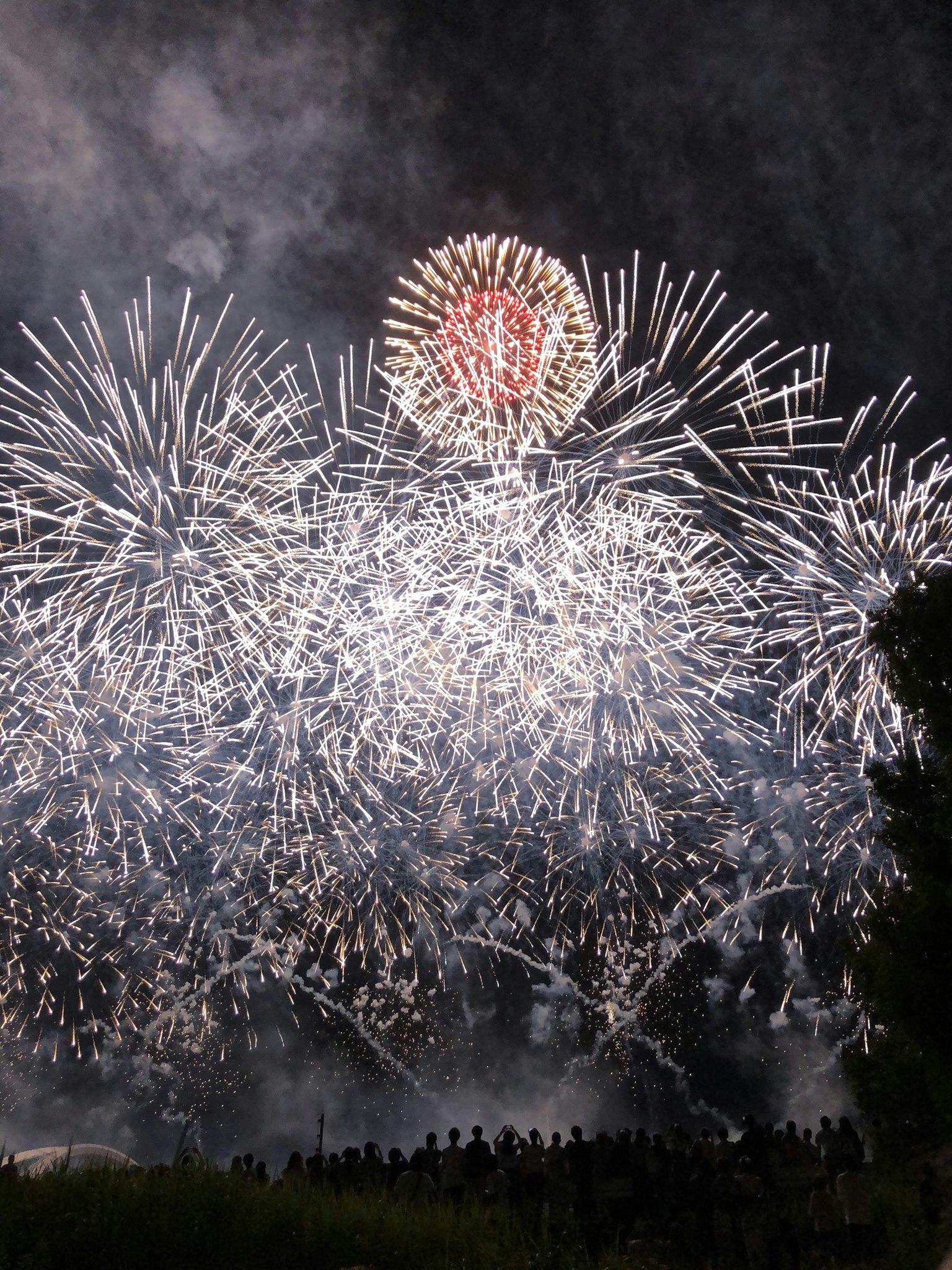 Vibrant fireworks display lighting up the night sky with spectators watching