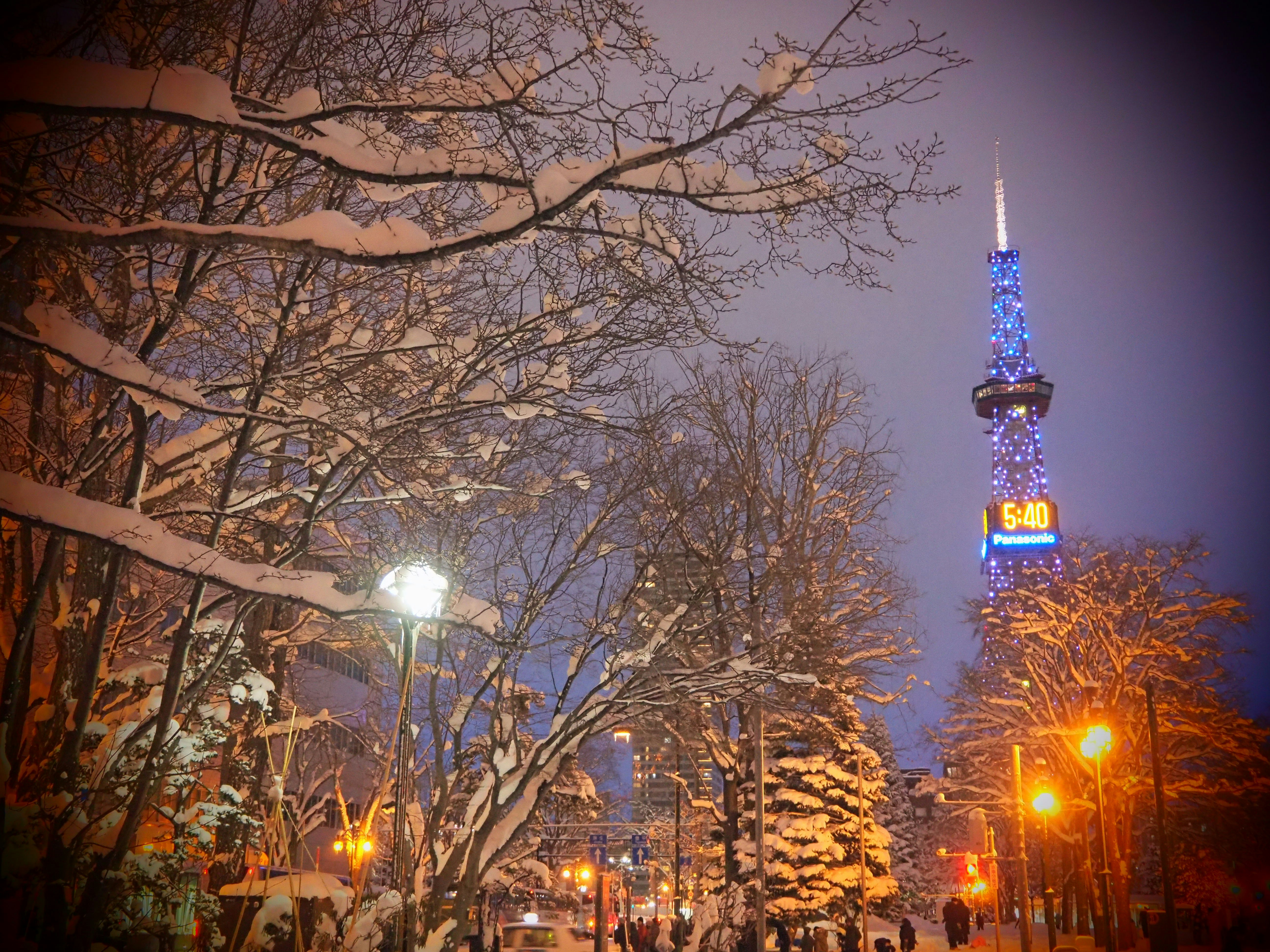 雪の降る大通公園の街路とライトアップされたテレビ塔