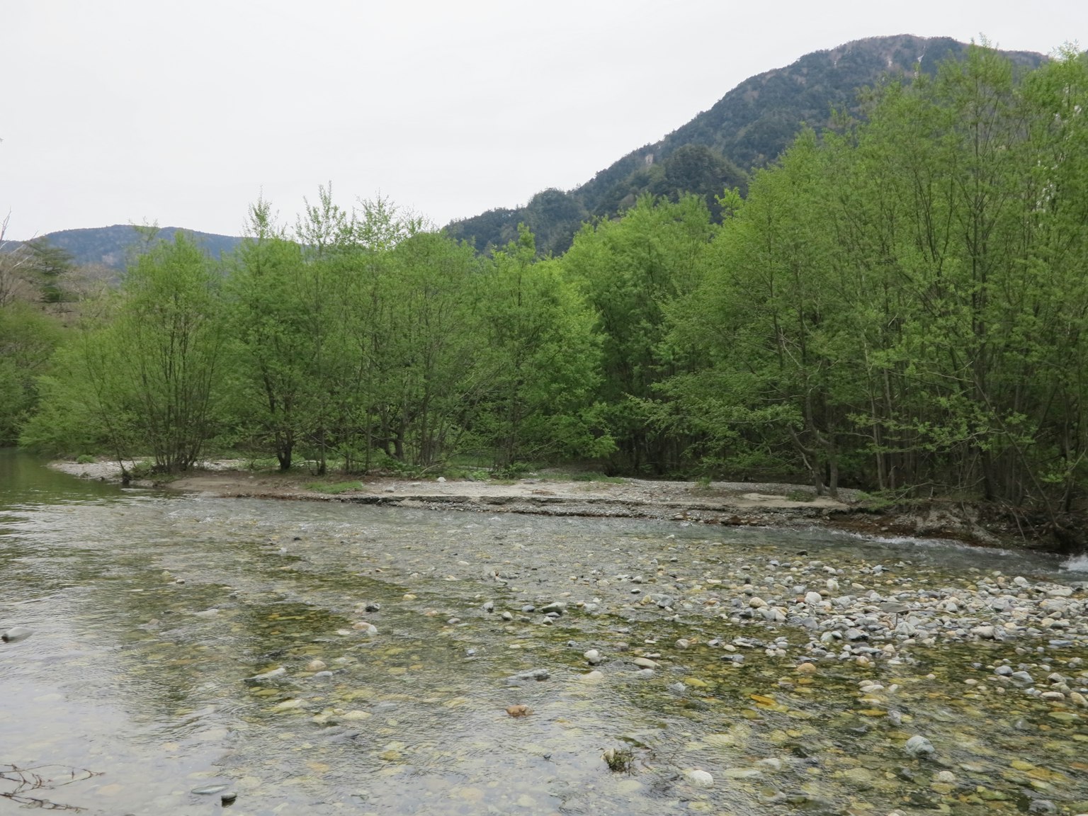 Paisaje sereno de río rodeado de árboles verdes exuberantes