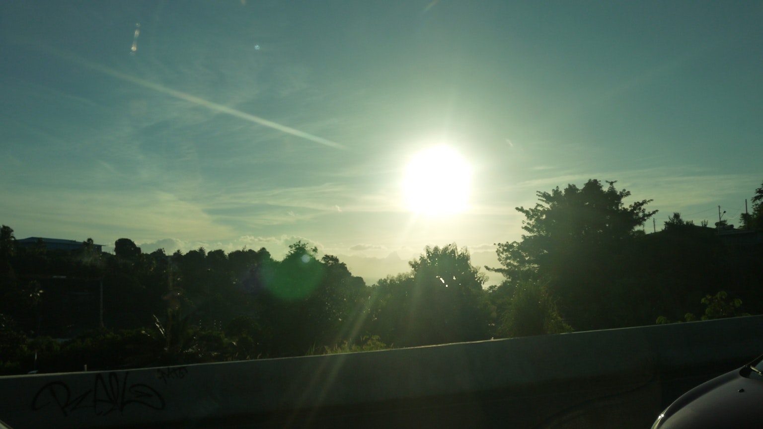 Sol brillante en el cielo con árboles verdes y cielo azul