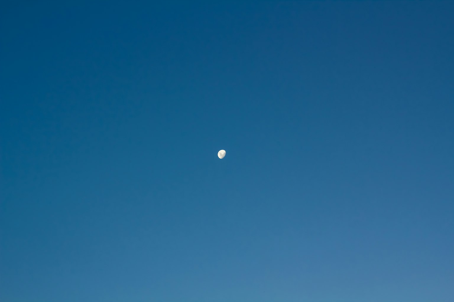 Balon putih melayang di langit biru yang cerah