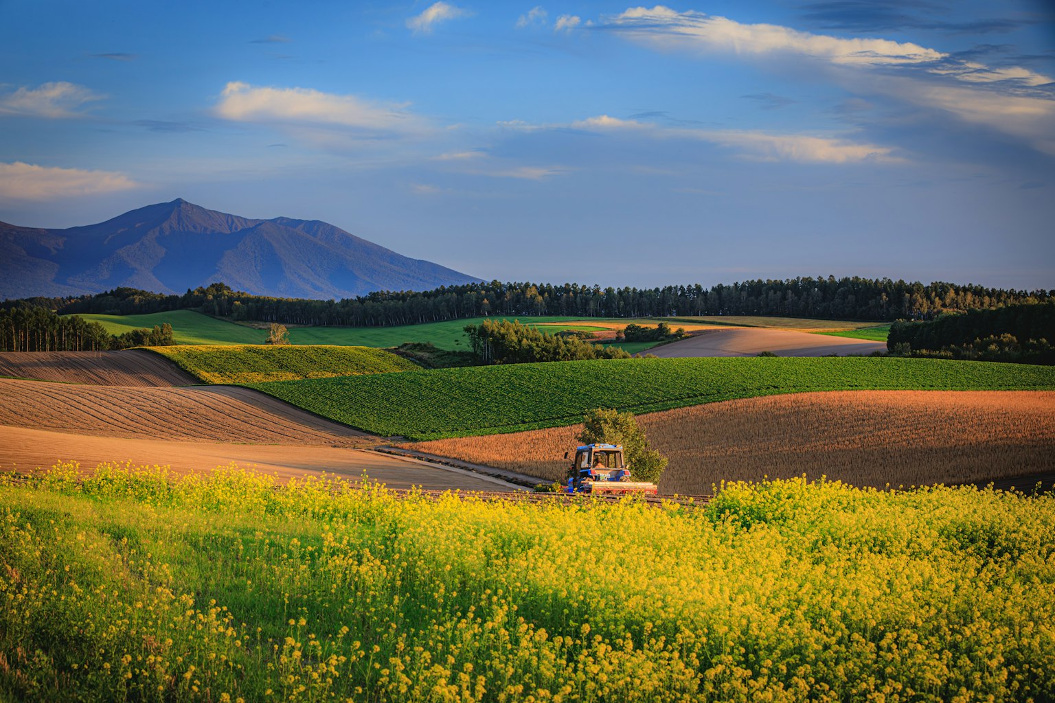 Bellissimo paesaggio con campi verdi e gialli e montagne